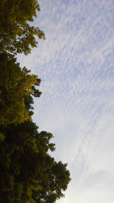 No.23932-1 地震雲