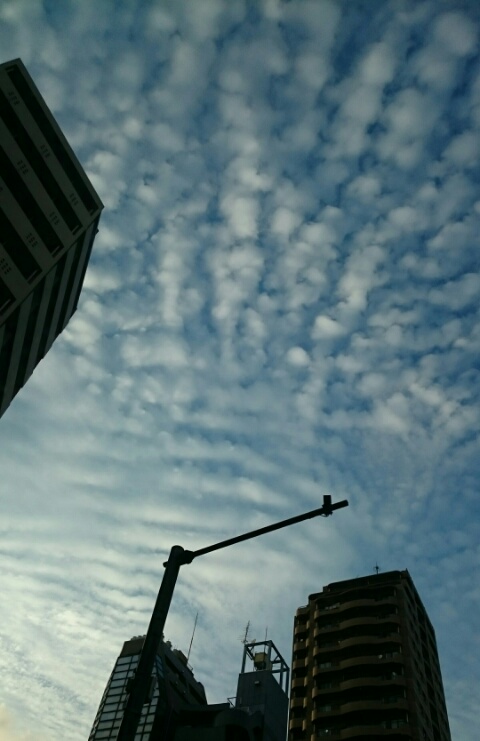 No.23935-1 地震雲