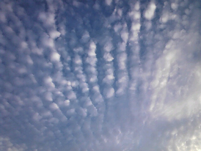 No.23936-1 地震雲