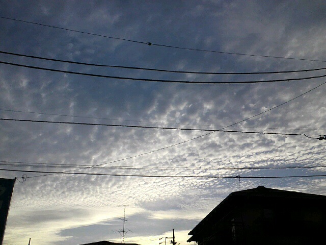 No.23937-1 地震雲