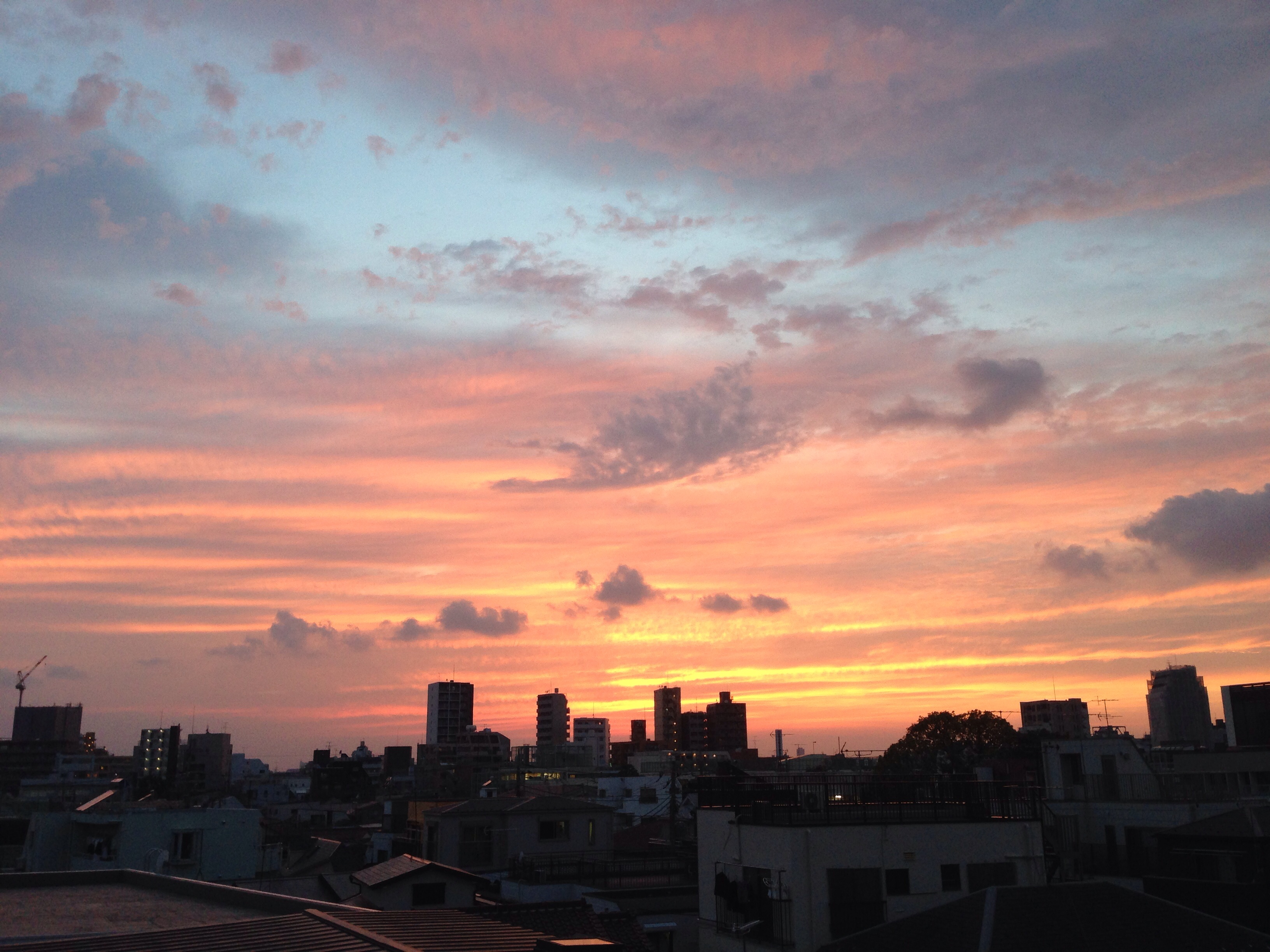 No.23949-1 地震雲