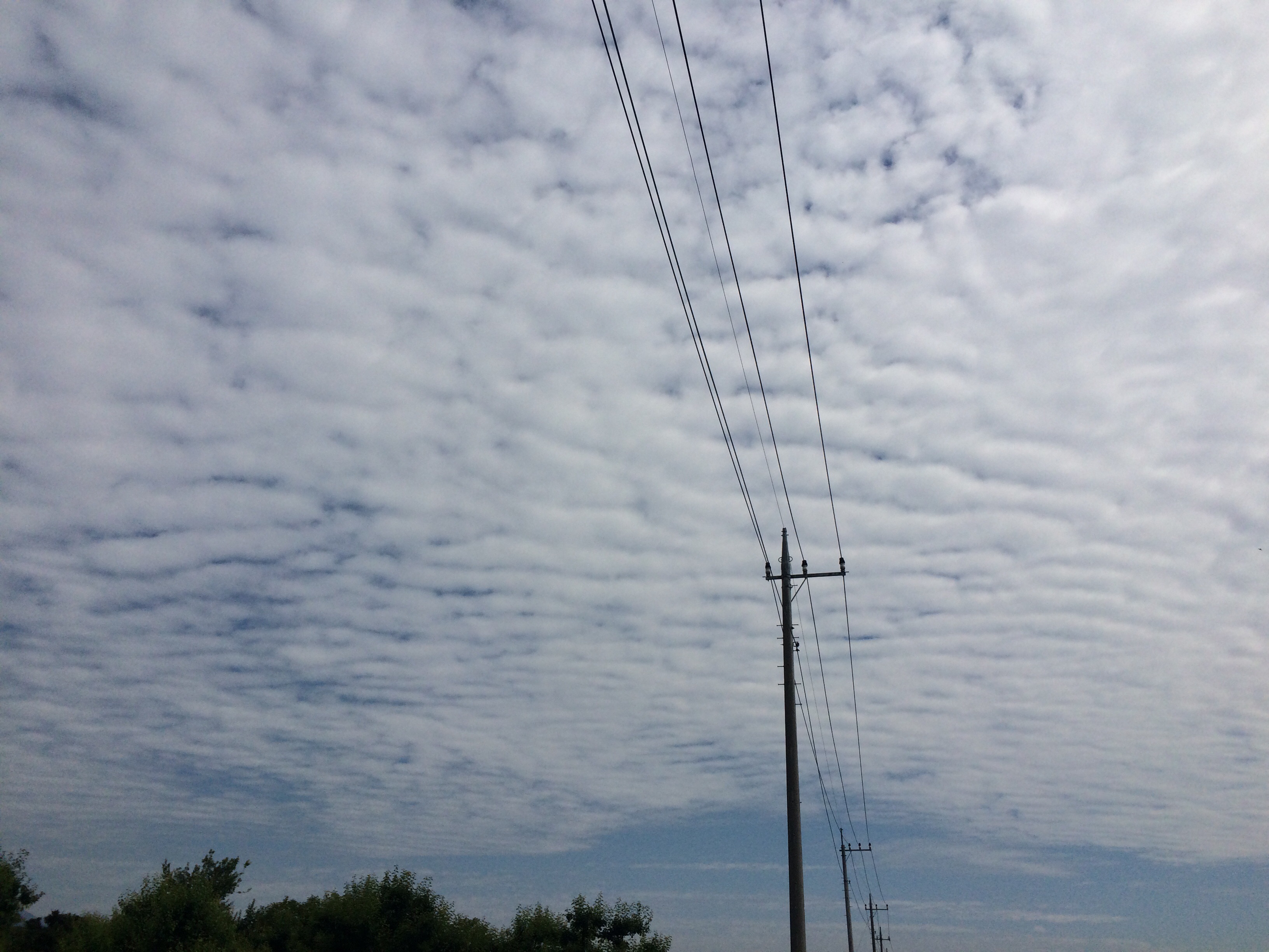 No.23971-1 地震雲