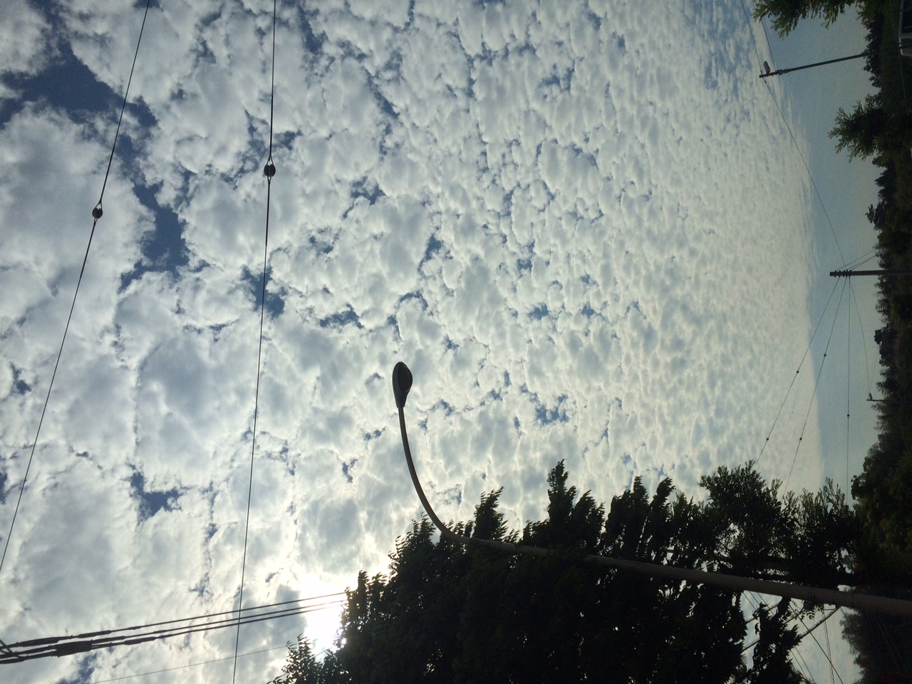 No.23972-1 地震雲