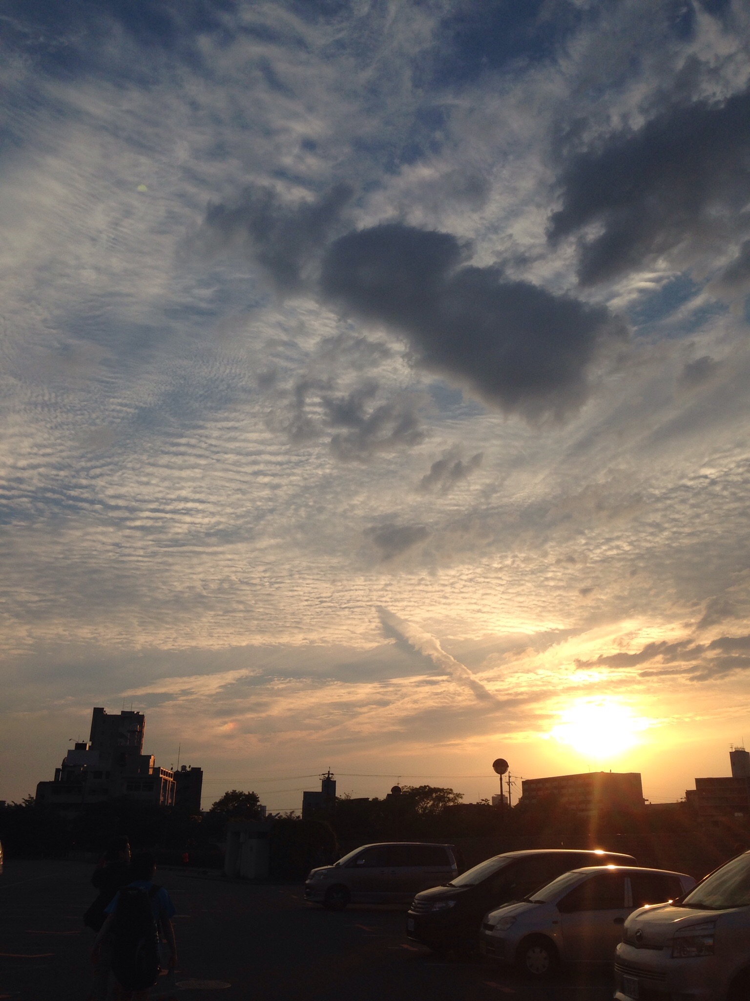 No.23984-1 地震雲