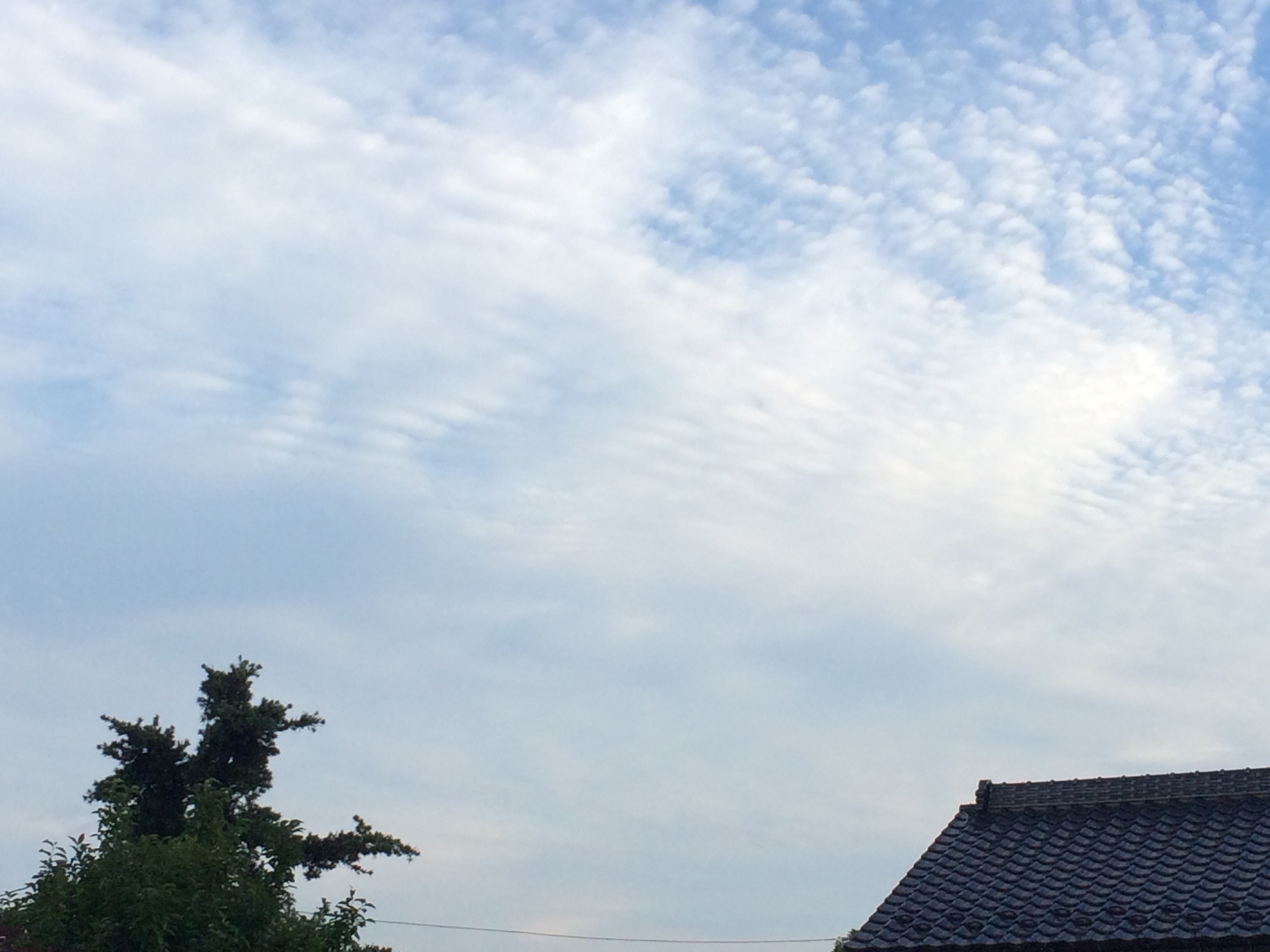 No.23989-1 地震雲