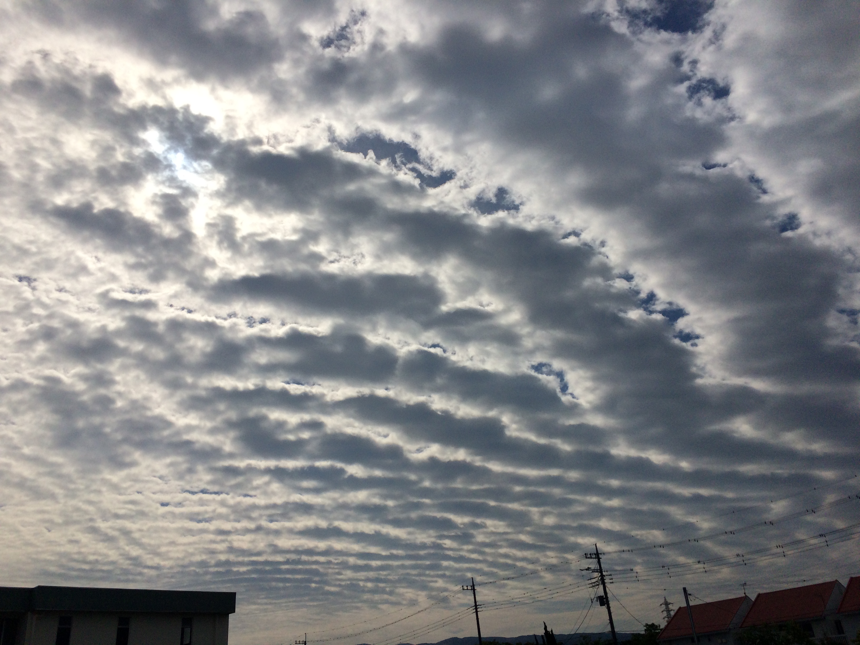 No.24016-1 地震雲