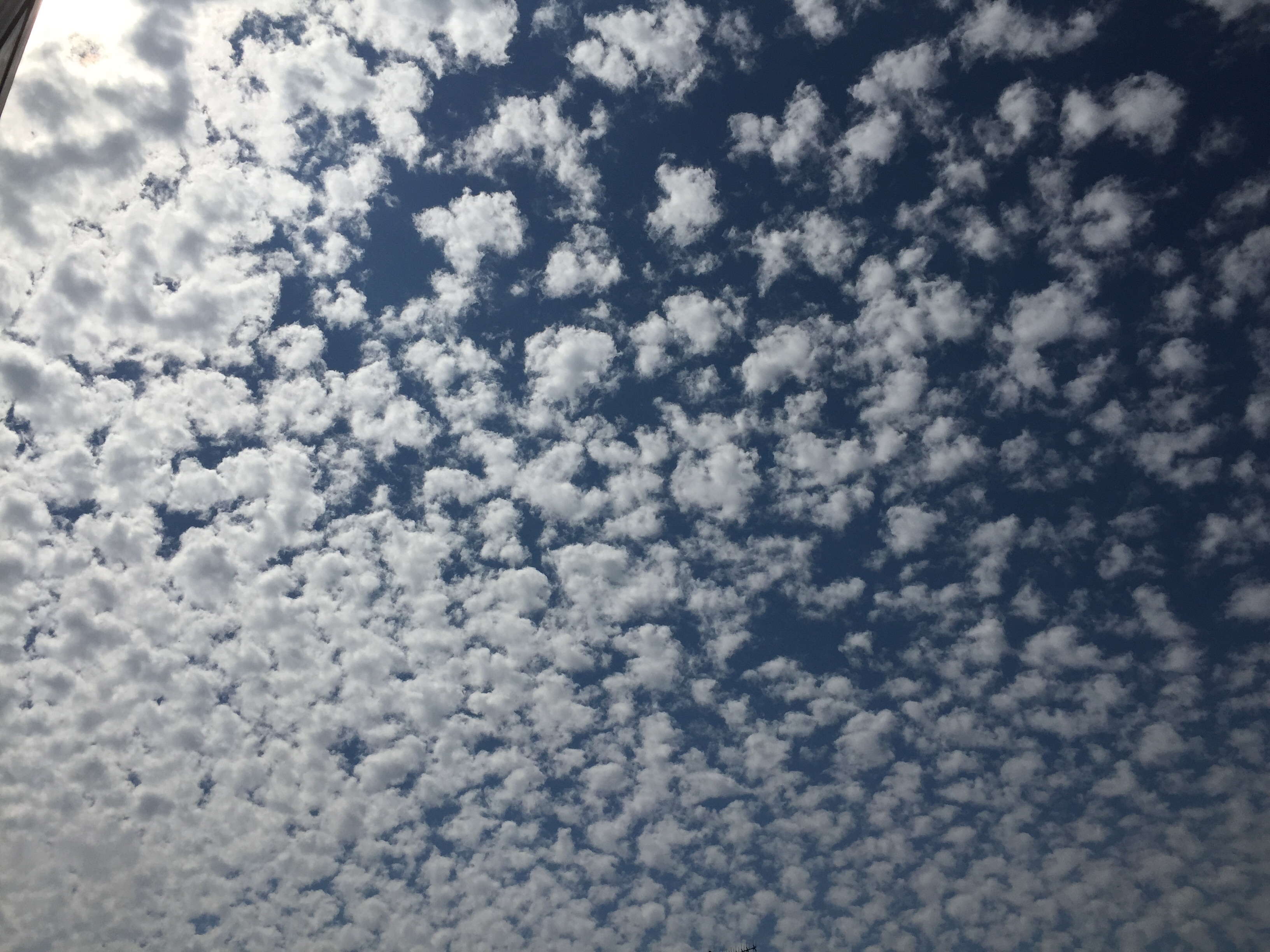 No.24028-1 地震雲