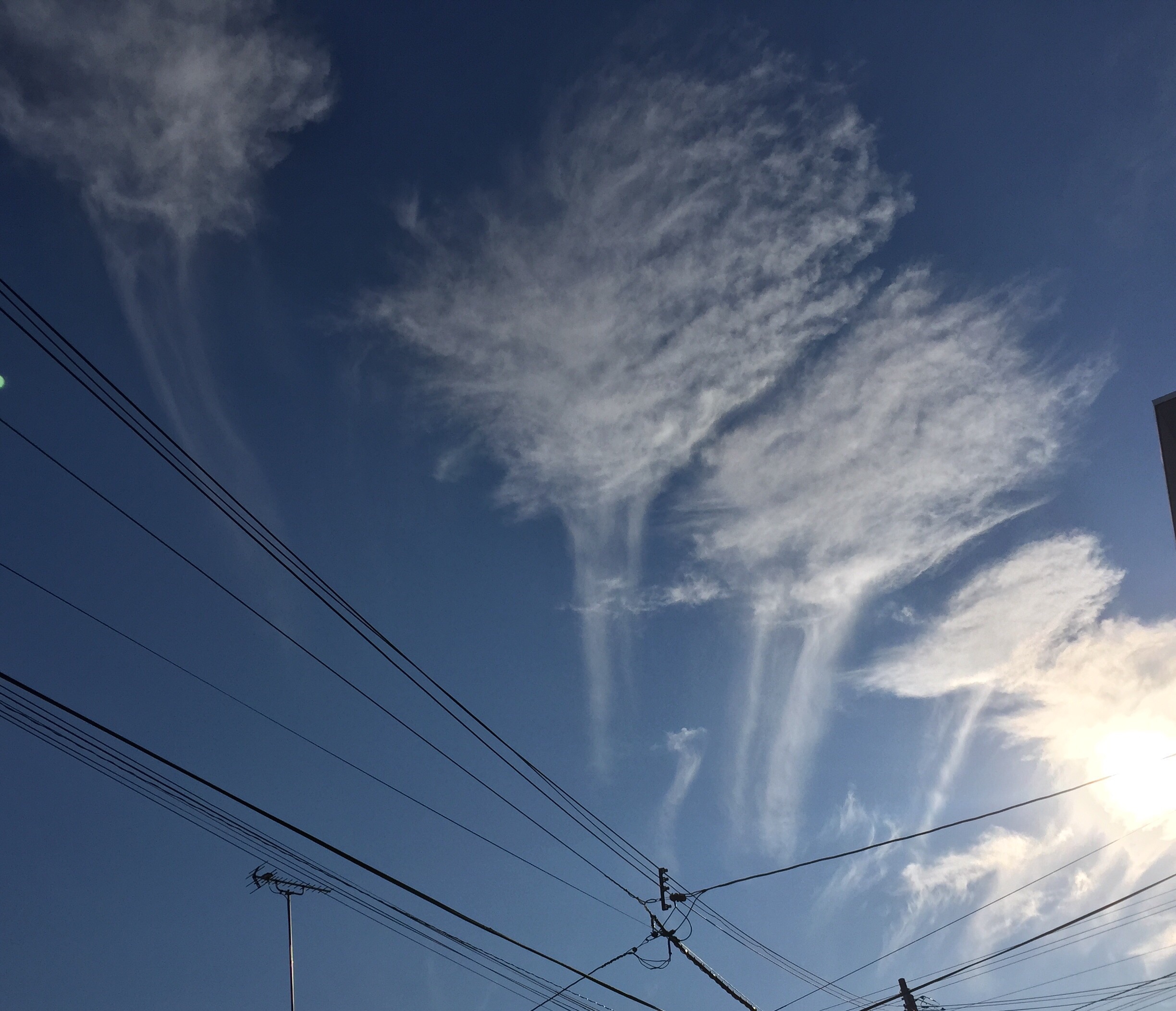 No.24069-1 地震雲