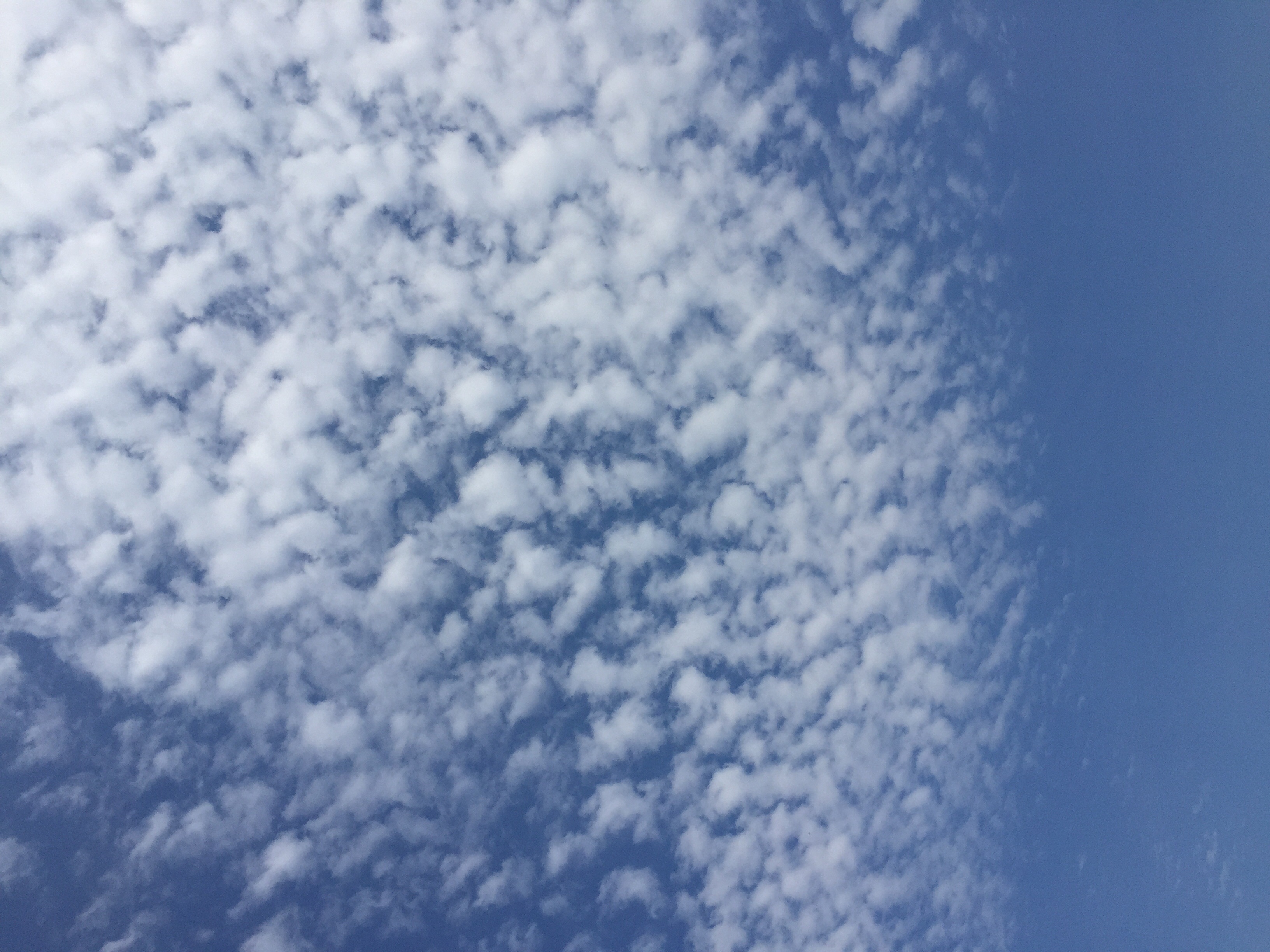 No.24175-1 地震雲