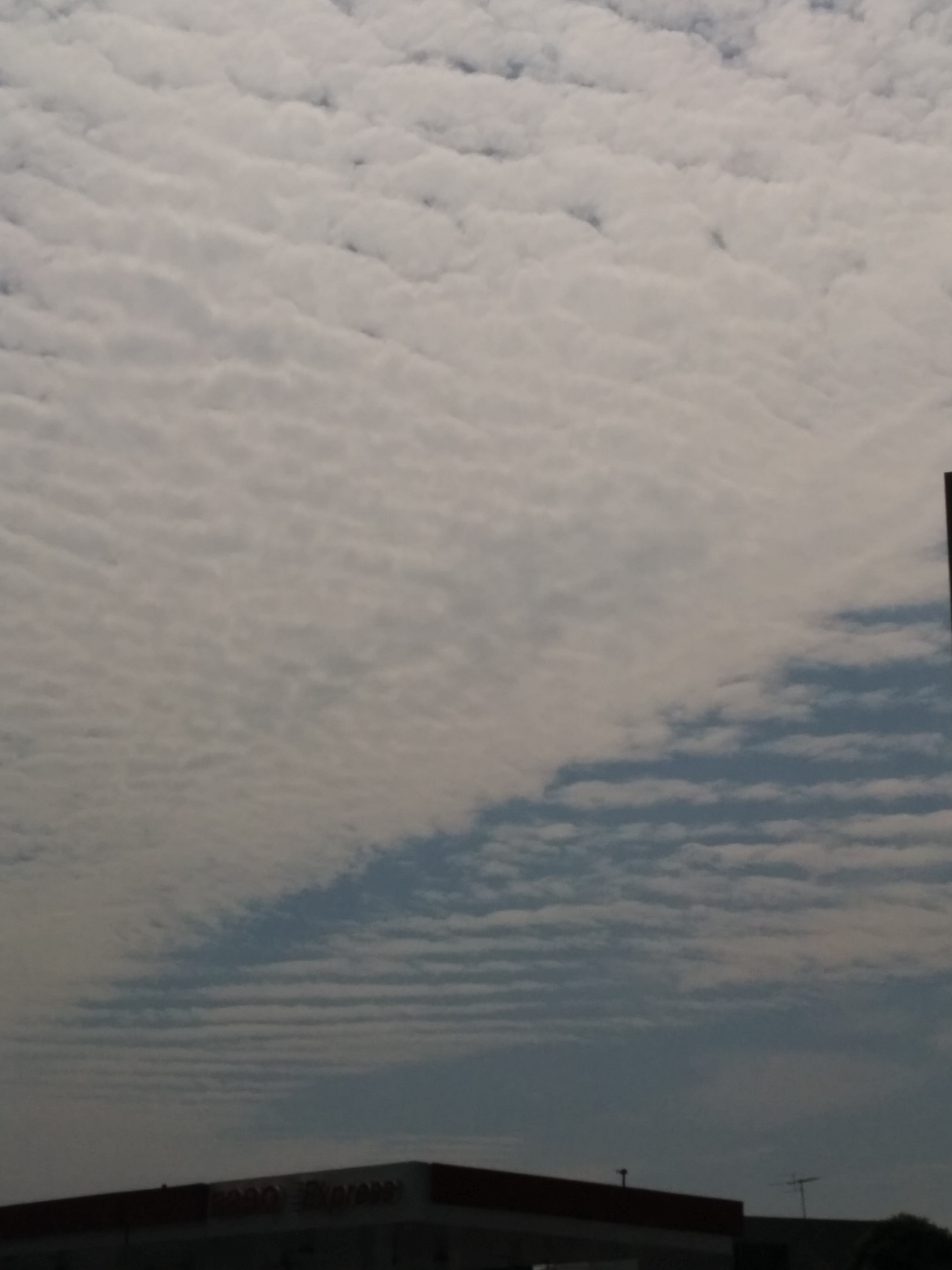 No.24177-1 地震雲