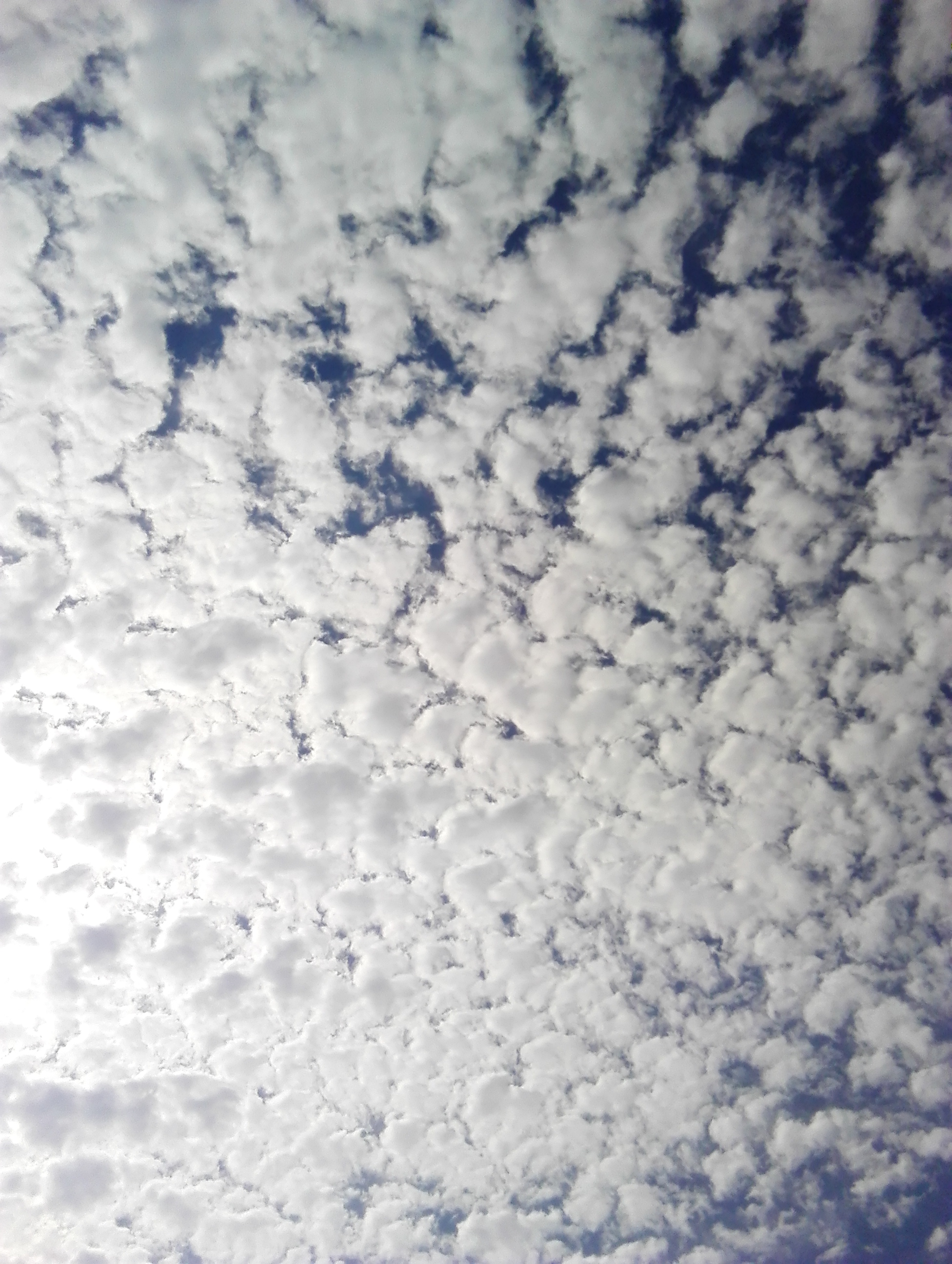 No.24189-1 地震雲