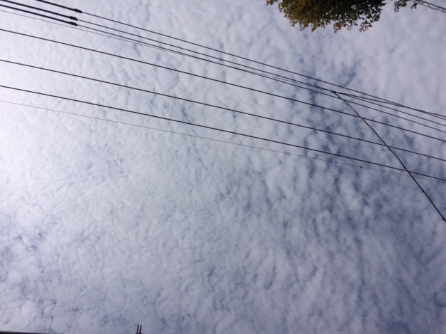 No.24192-1 地震雲