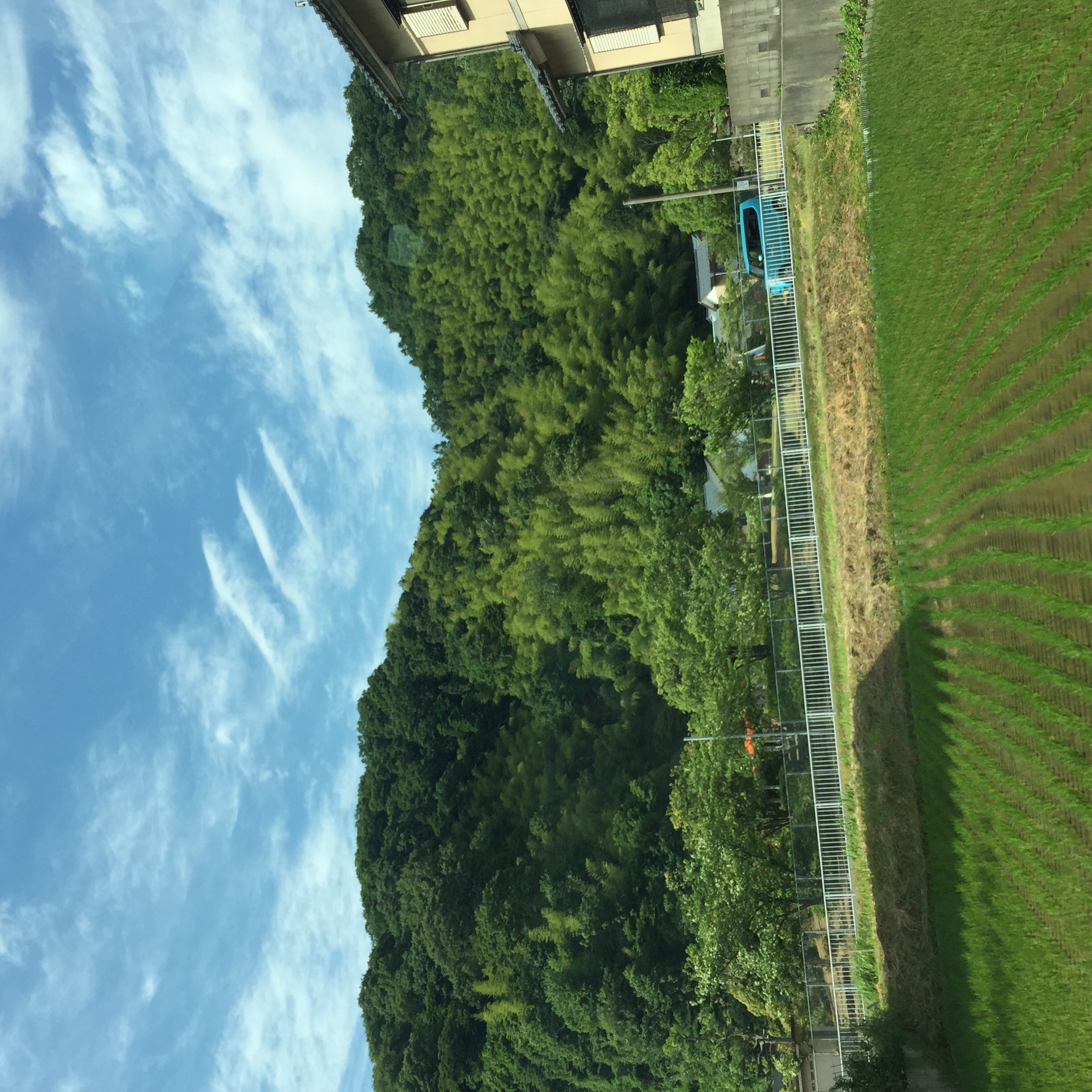 No.24211-1 地震雲