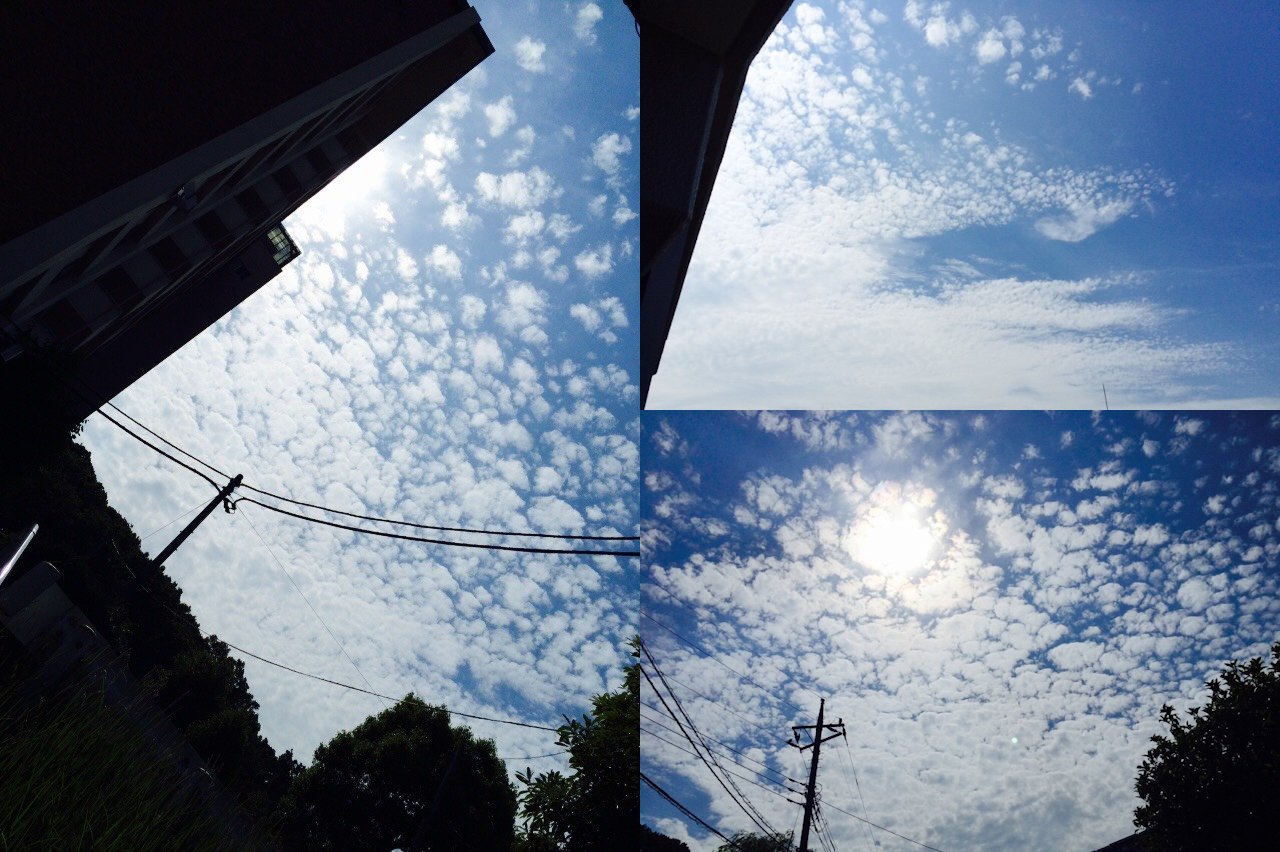 No.24242-1 地震雲