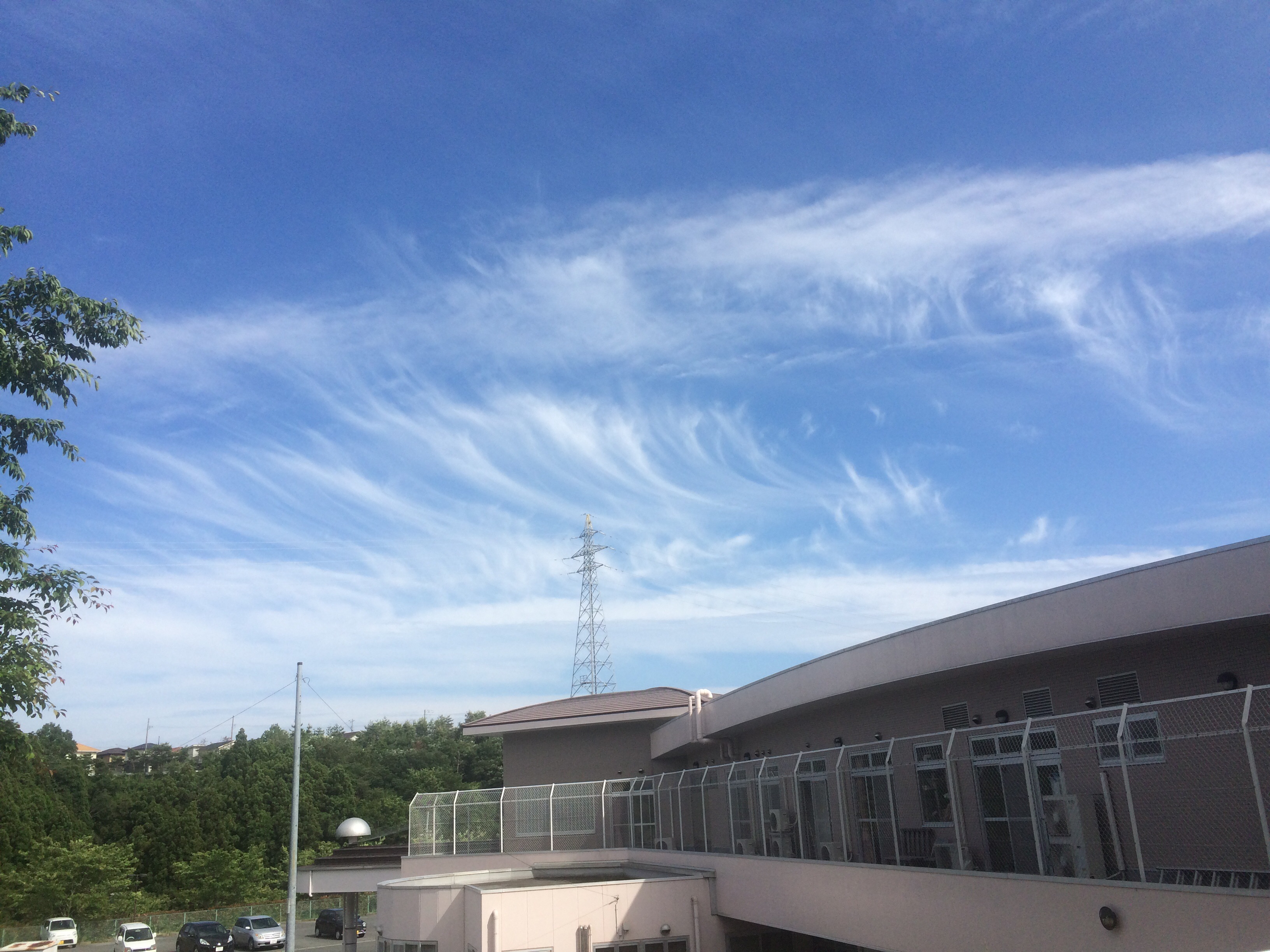 No.24262-1 地震雲