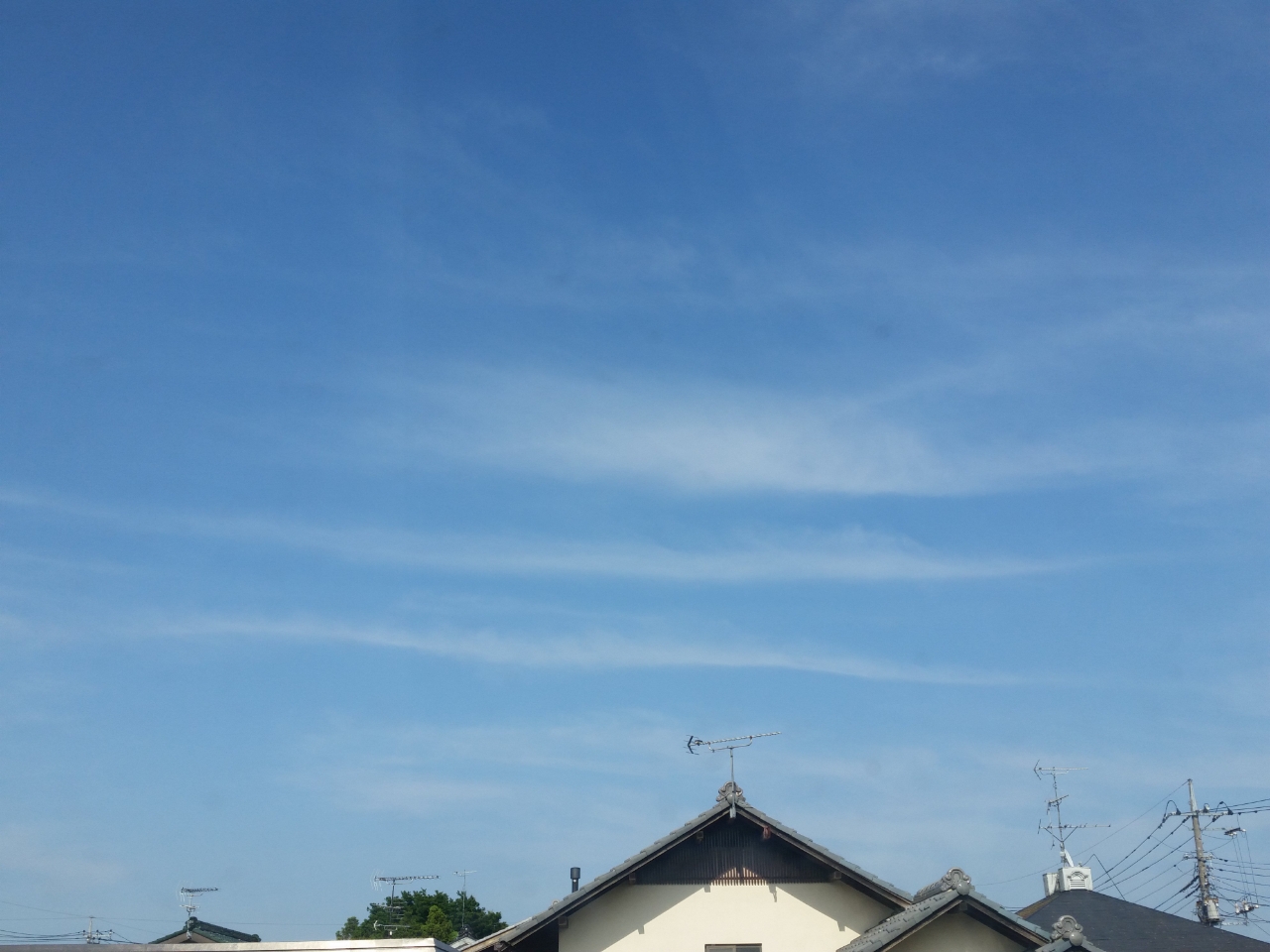 No.24293-1 地震雲