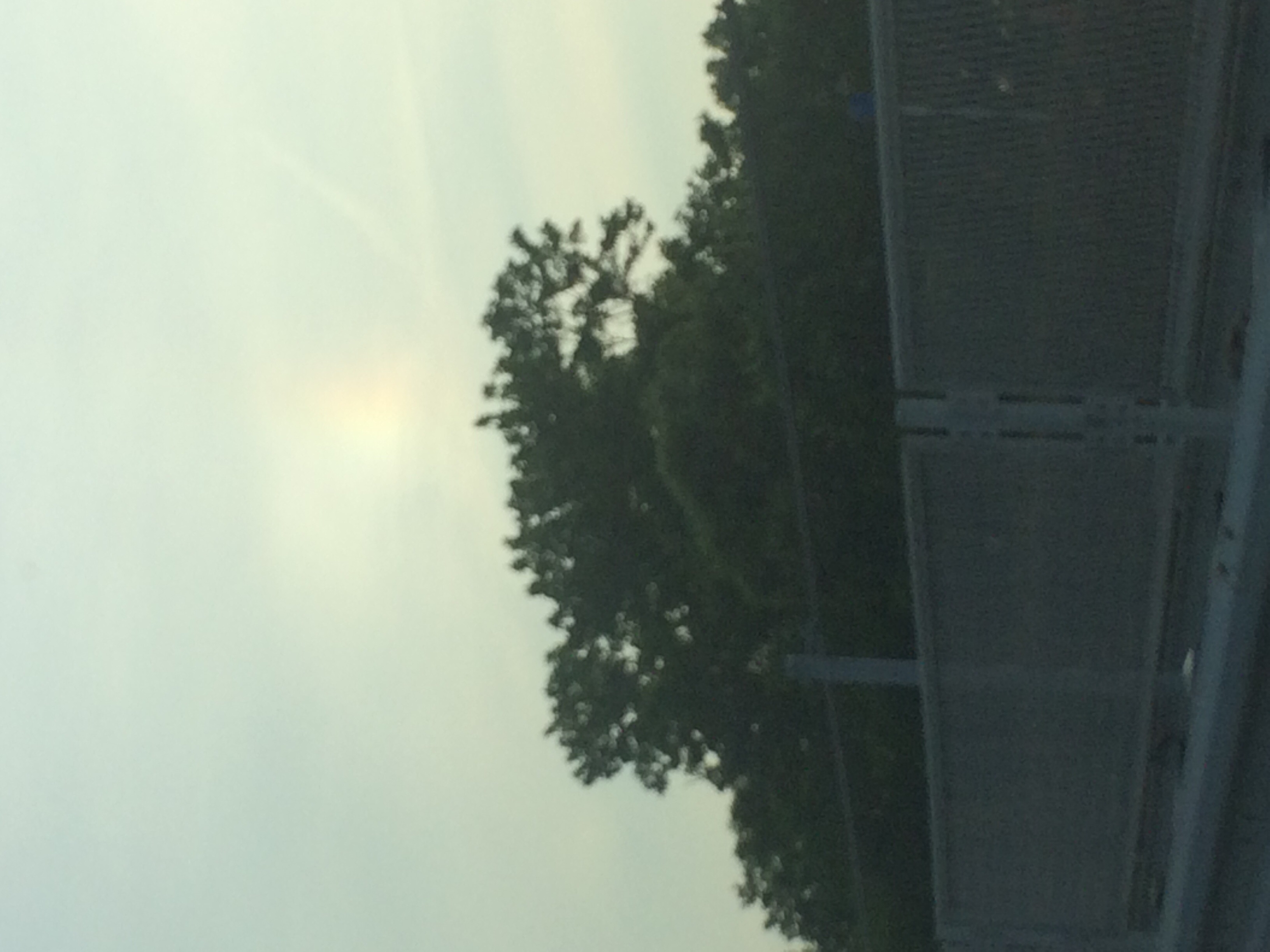 No.24295-1 地震雲