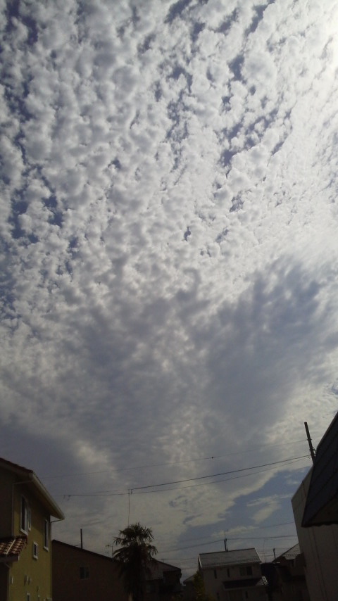 No.24322-1 地震雲