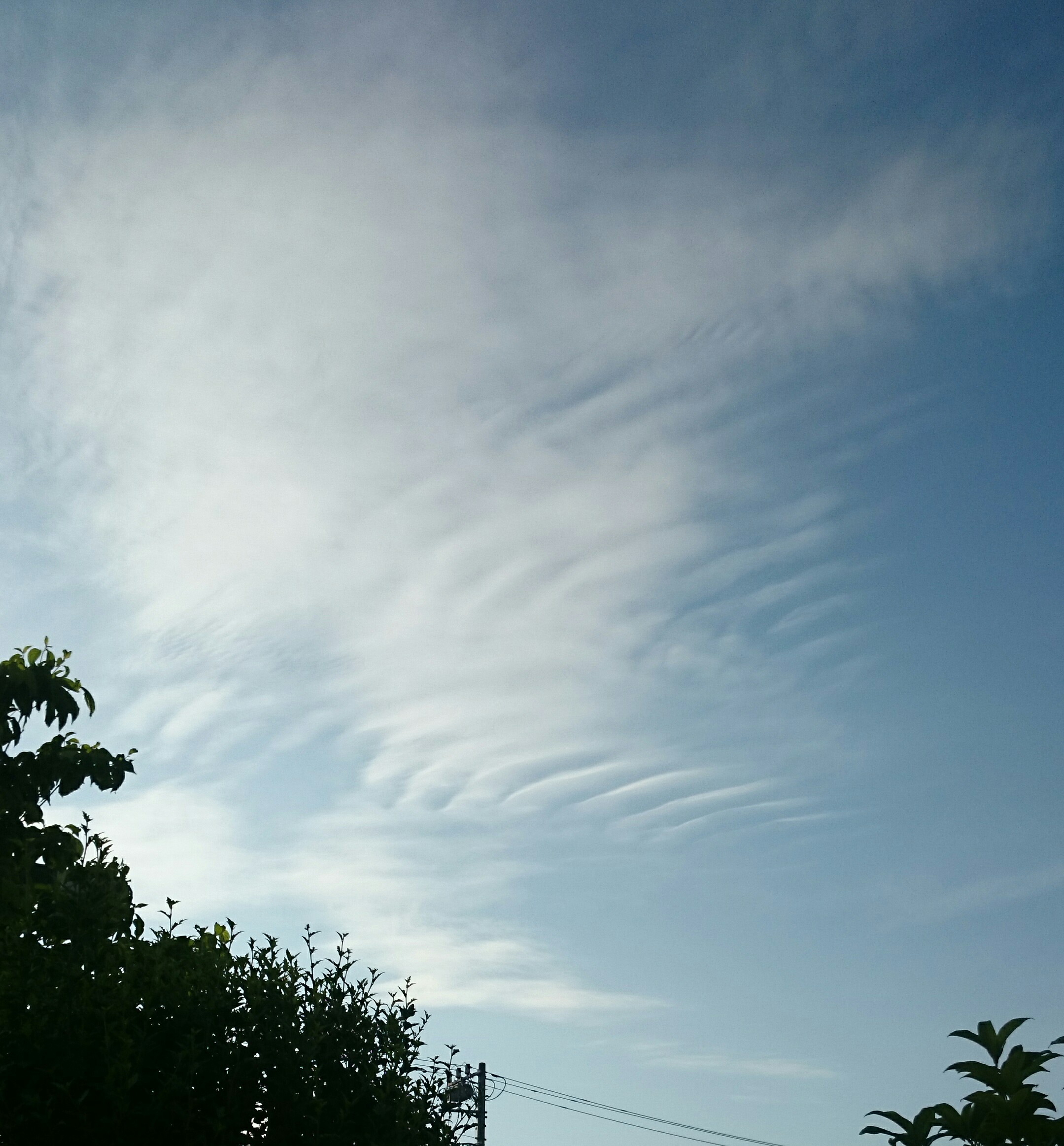 No.24325-1 地震雲