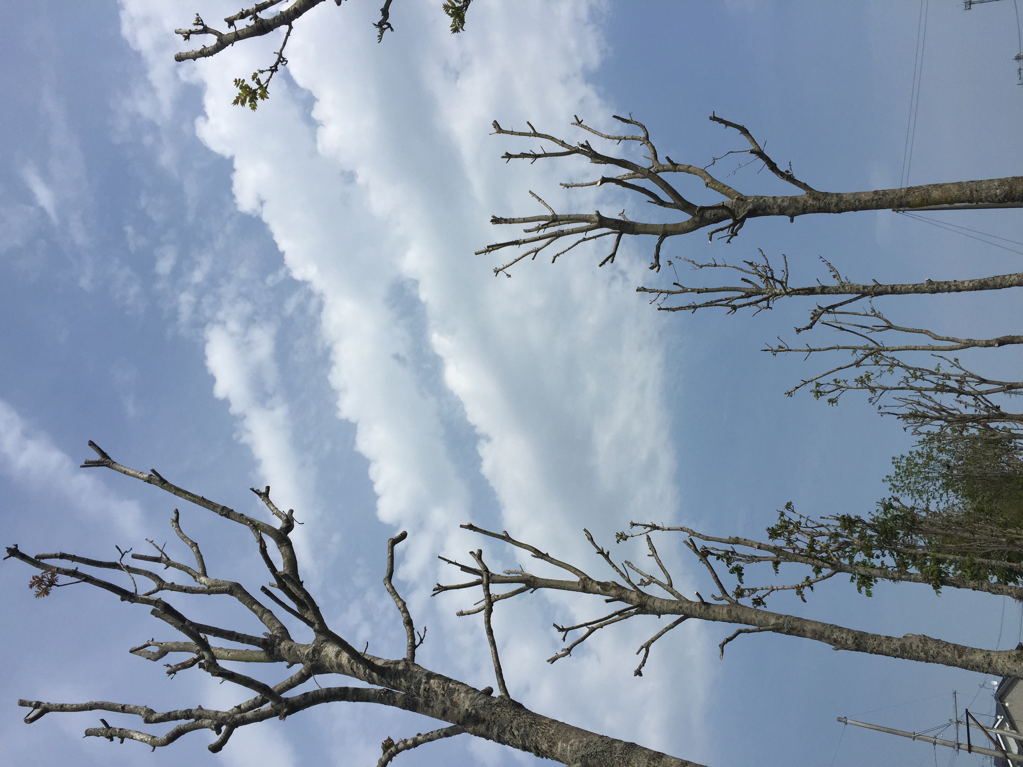 No.24352-1 地震雲