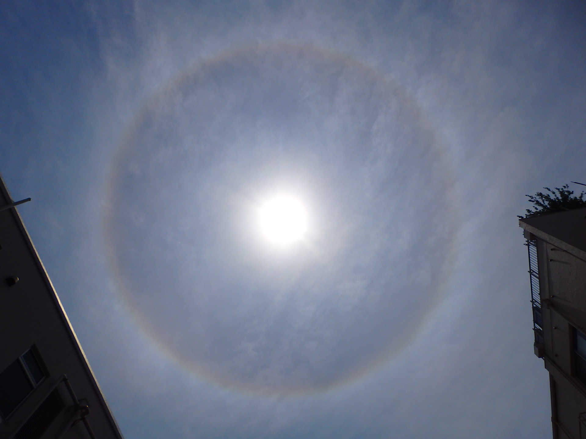 No.24363-1 地震雲