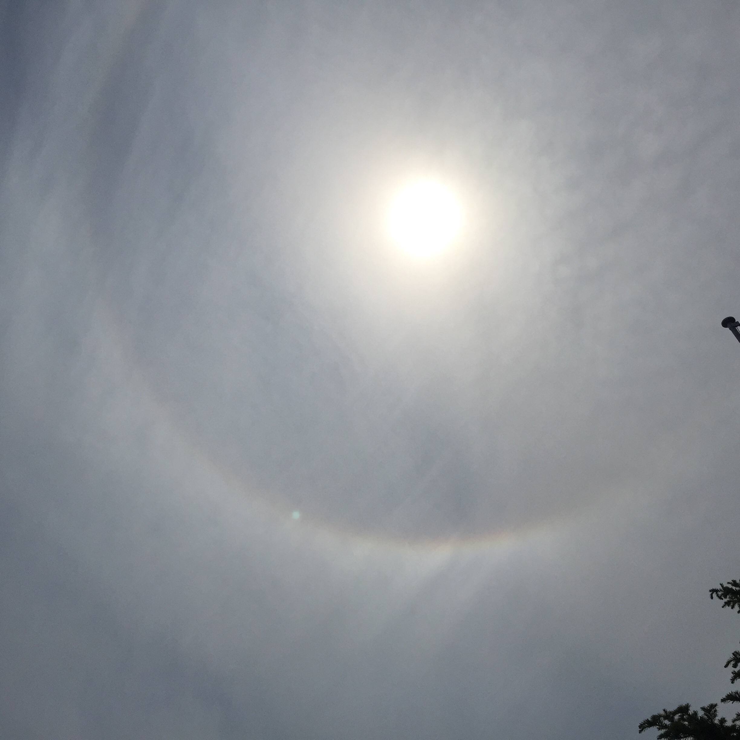 No.24378-1 地震雲