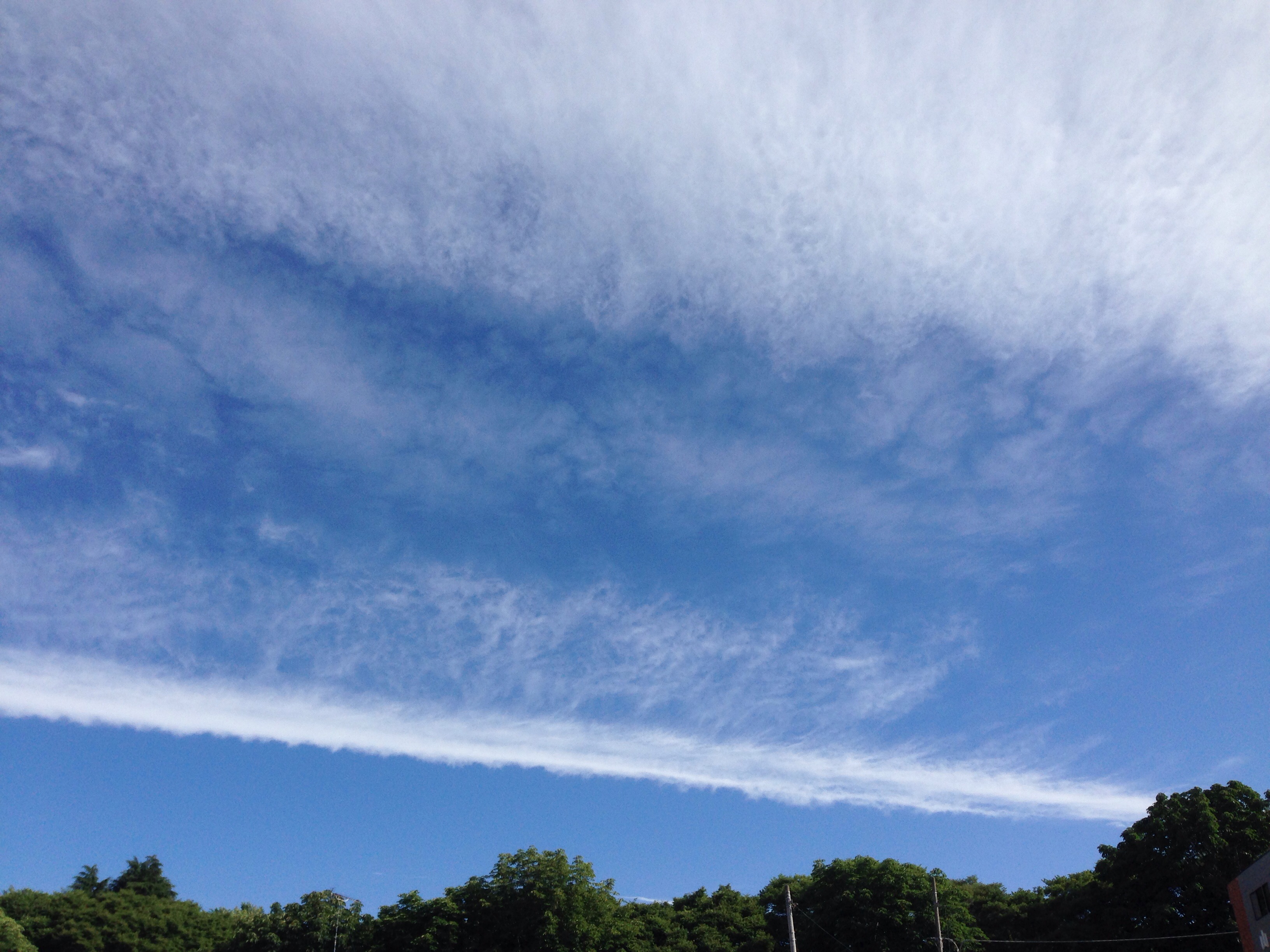 No.24451-1 地震雲