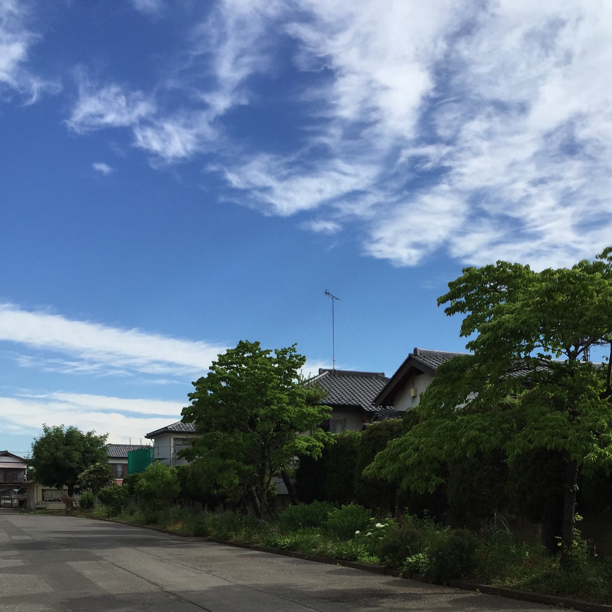 No.24452-1 地震雲