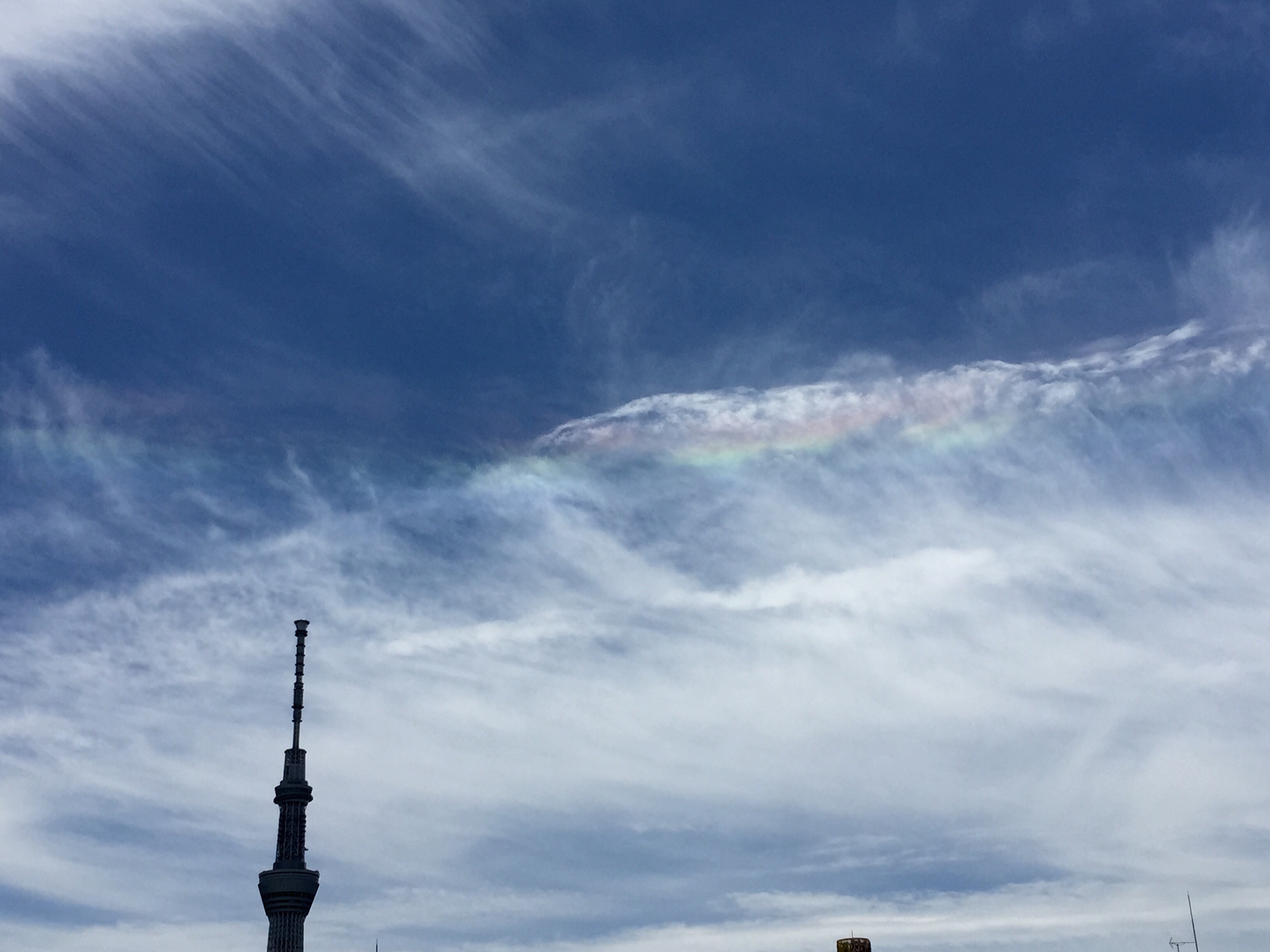 No.24494-1 地震雲