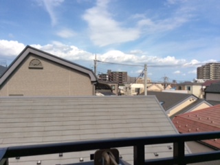 No.24803-1 地震雲