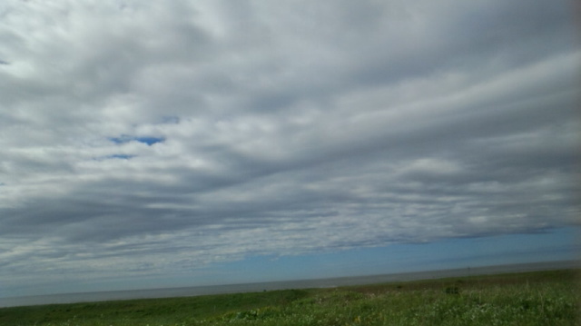 No.24829-1 地震雲