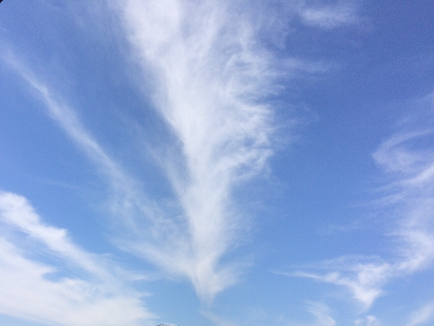 No.24831-1 地震雲