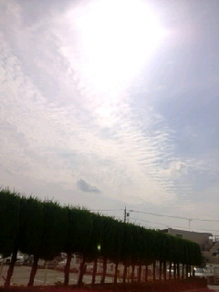 No.24834-1 地震雲