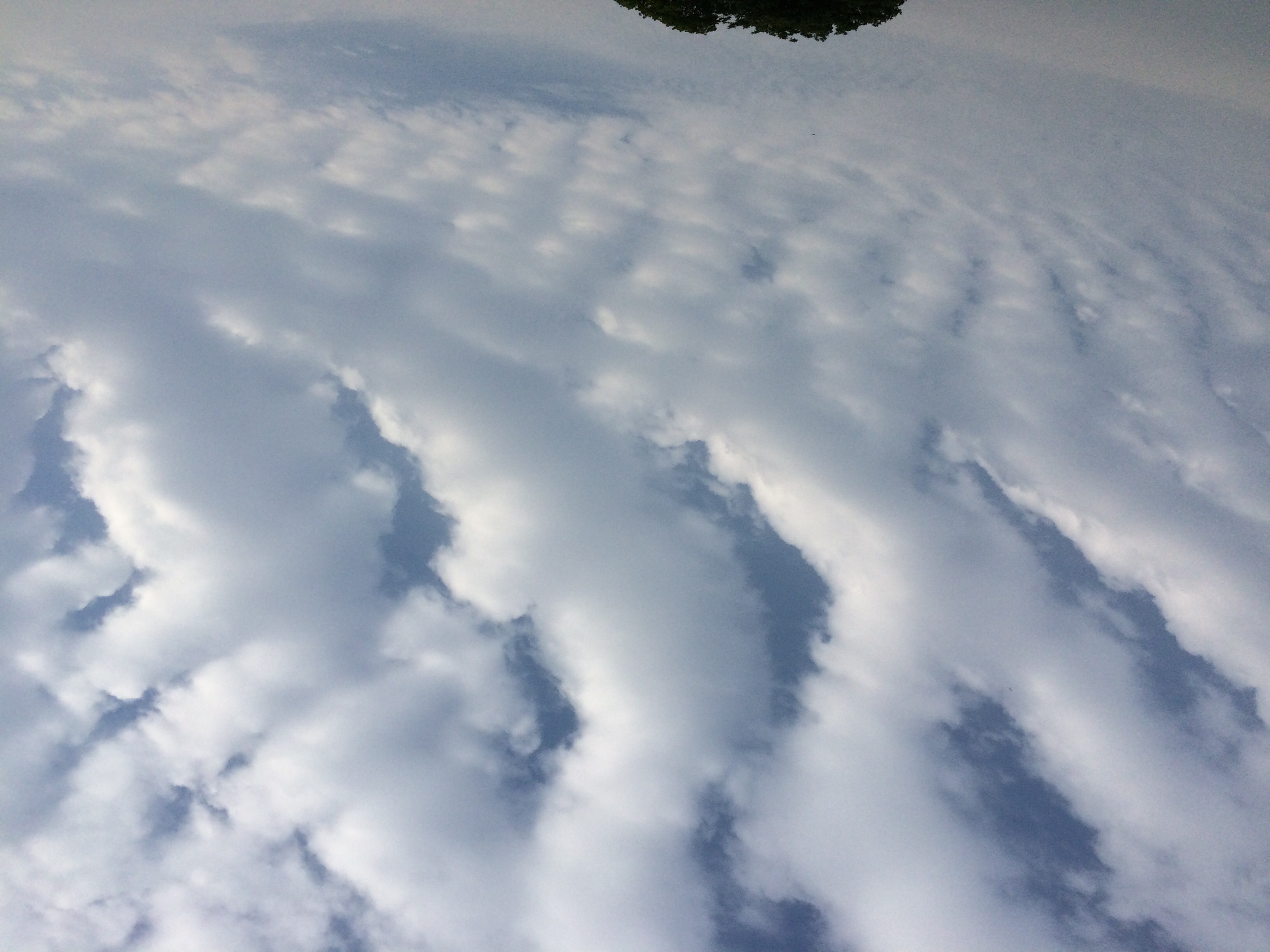 No.24835-1 地震雲