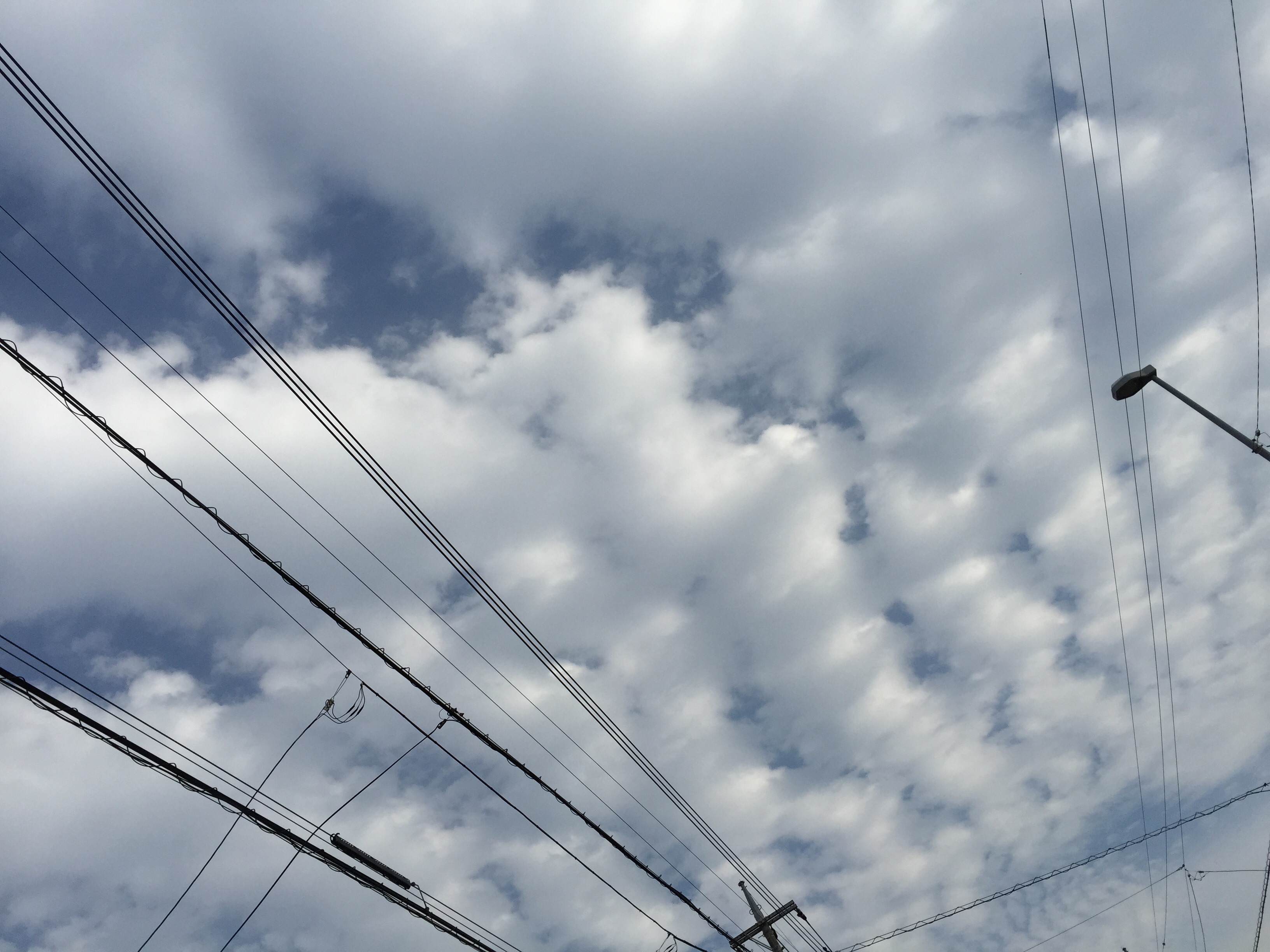 No.24837-1 地震雲