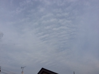 No.24841-1 地震雲