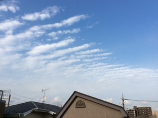 No.24842-1 地震雲