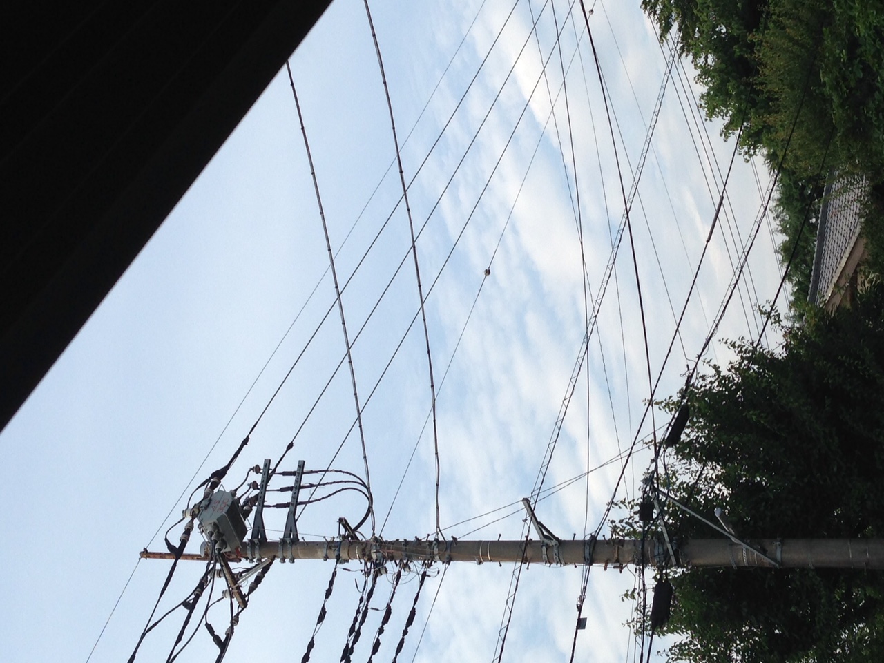 No.24843-1 地震雲