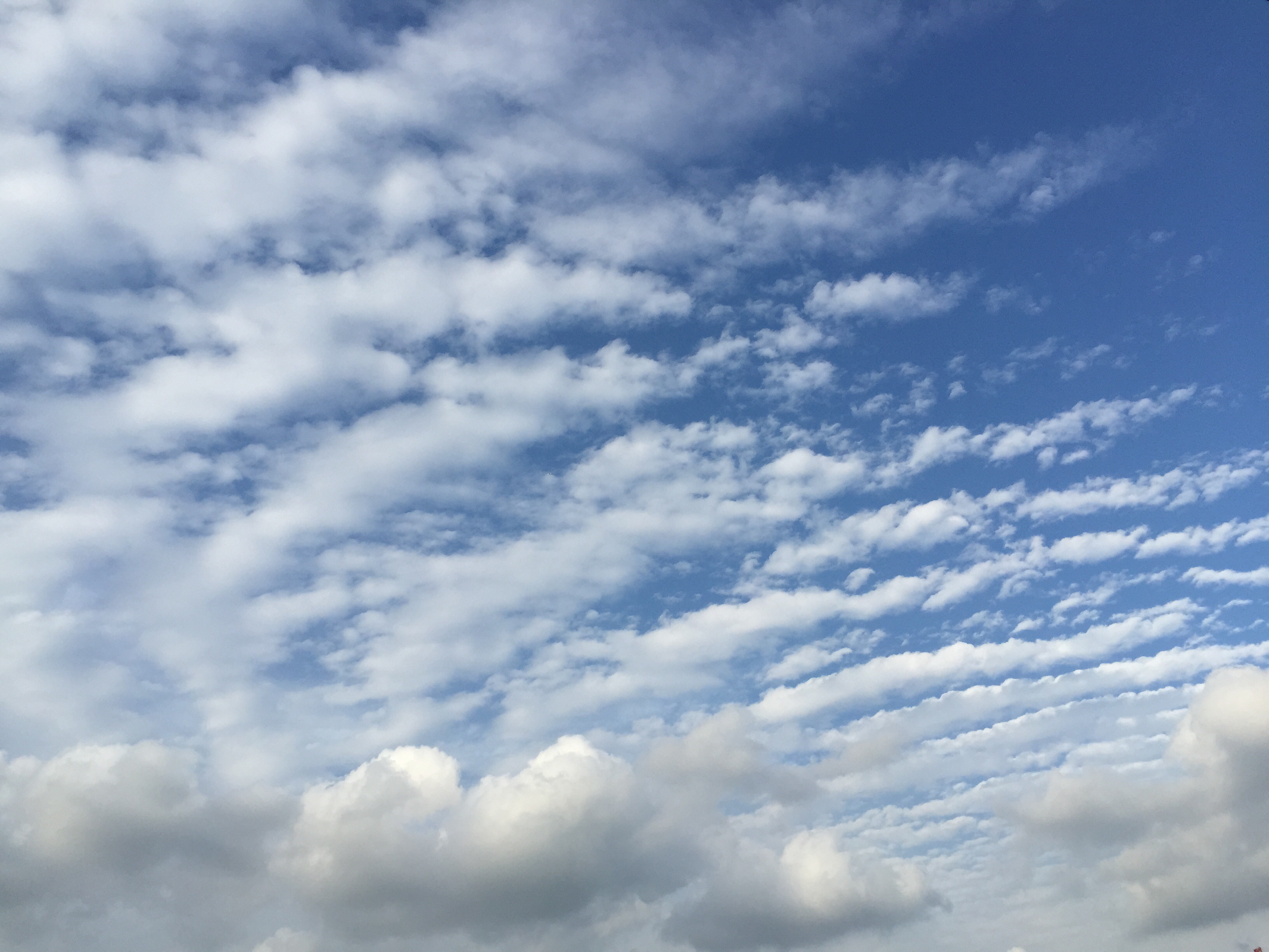 No.24850-1 地震雲