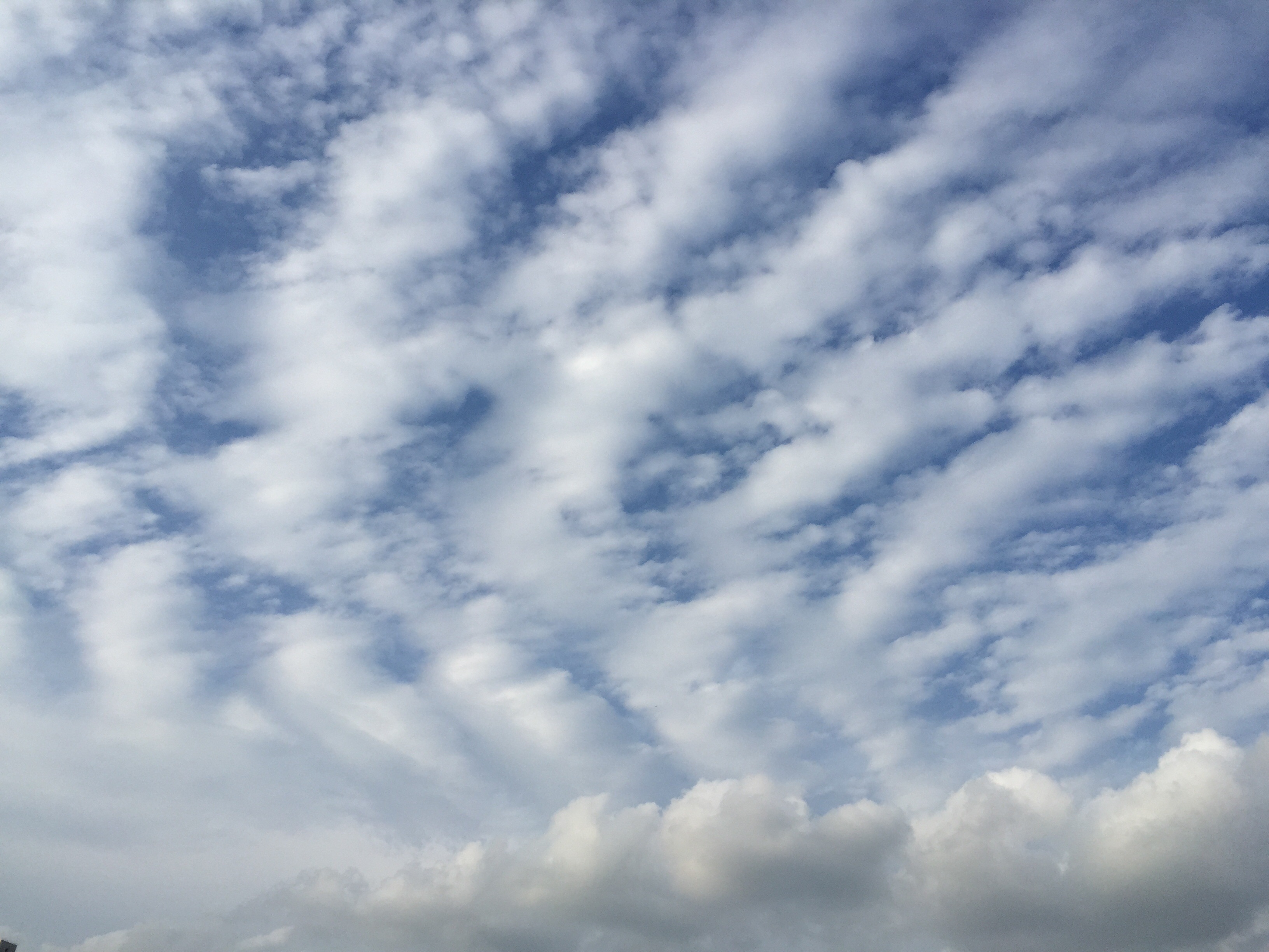 No.24852-1 地震雲