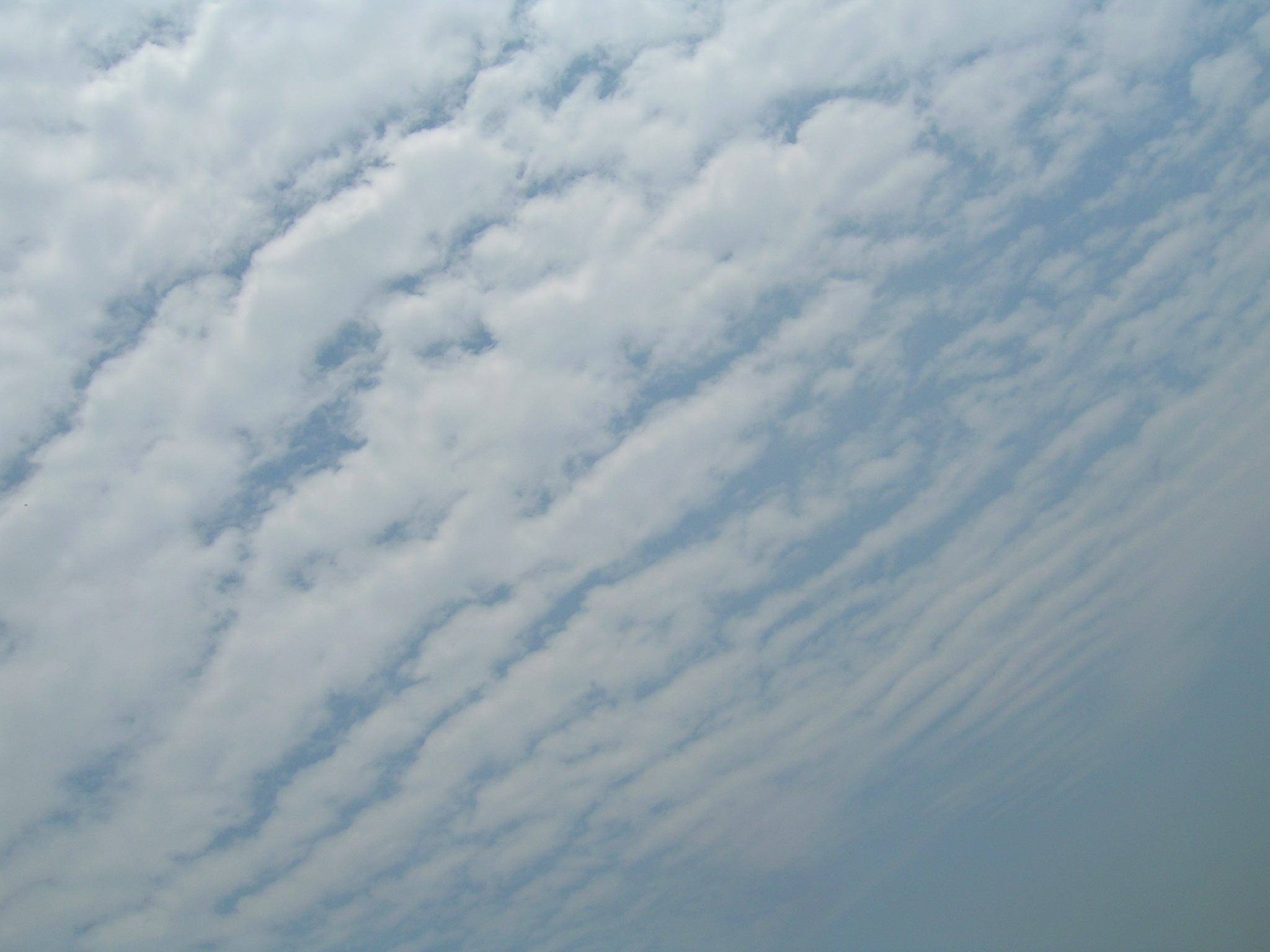 No.24899-1 地震雲