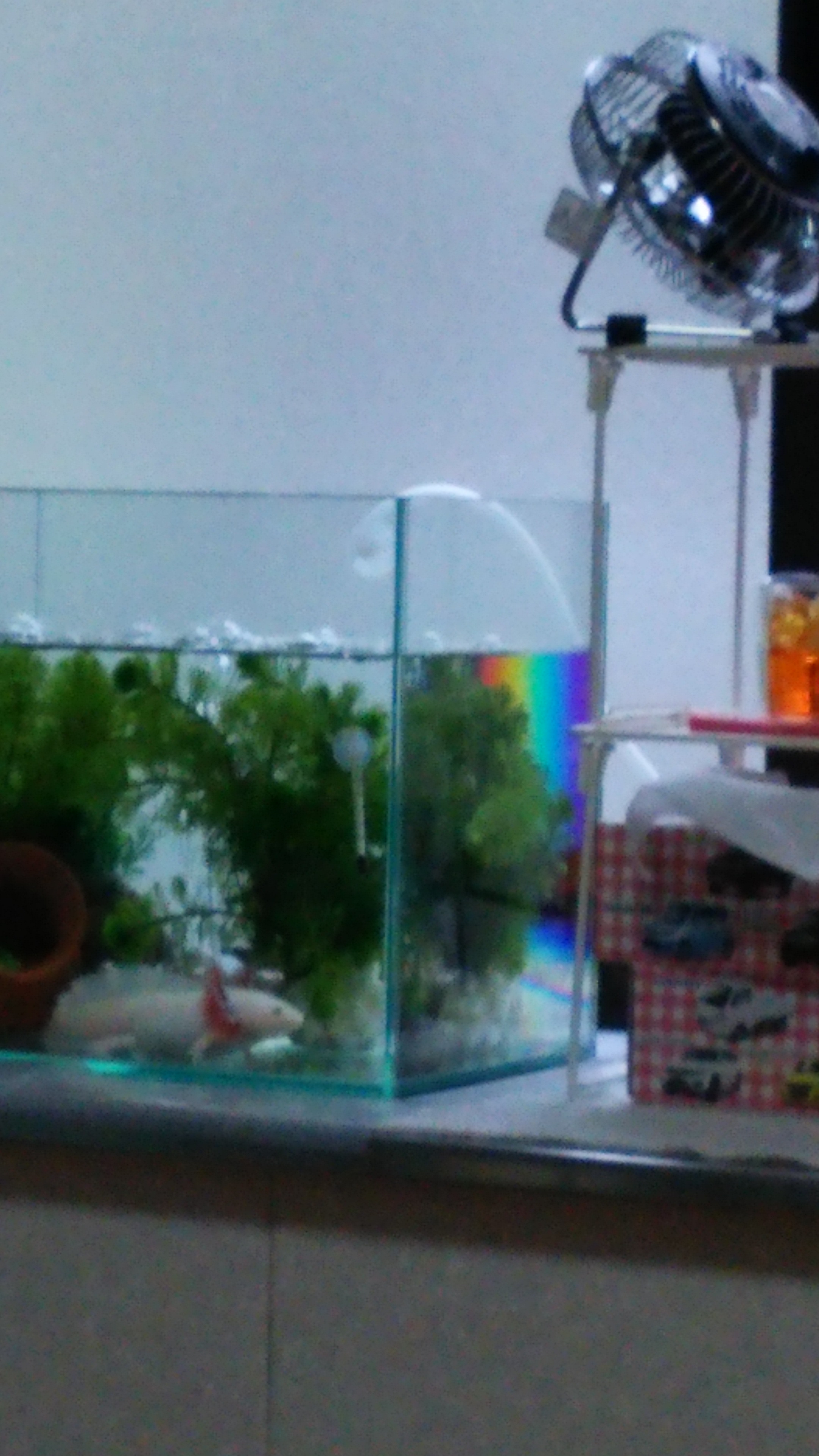 No.24916-1 地震雲