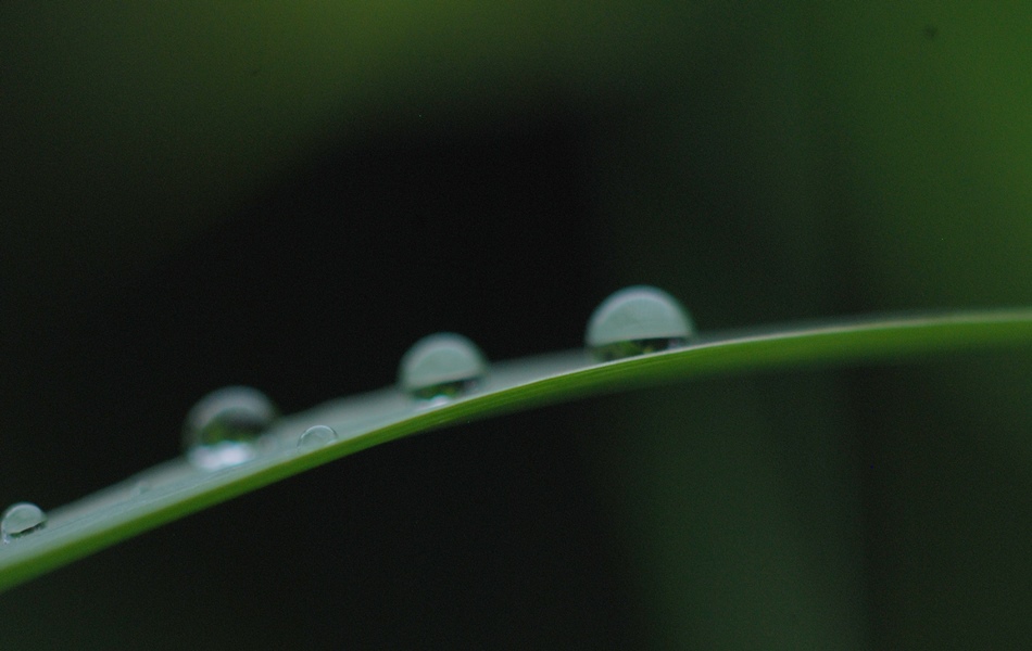 No.24928-1 地震雲