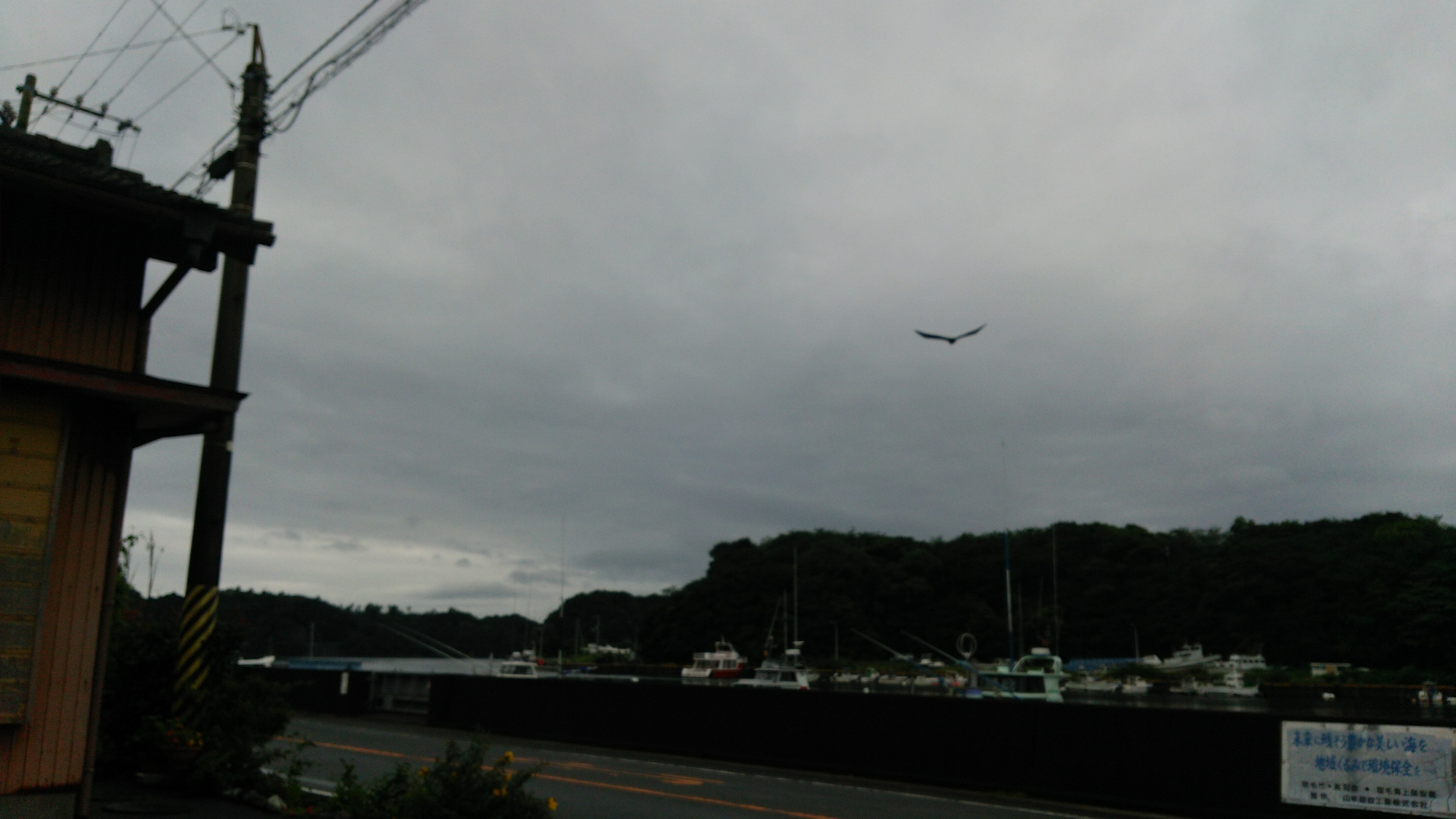 No.24957-1 地震雲