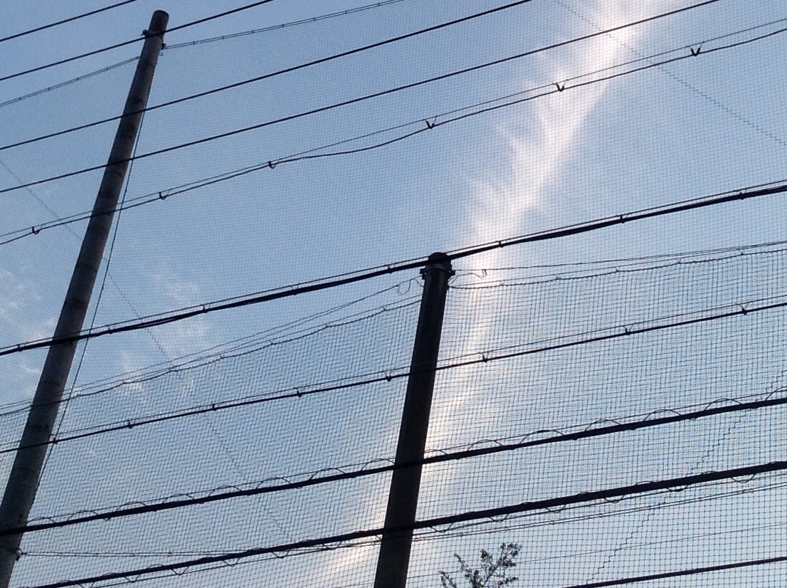 No.25071-1 地震雲