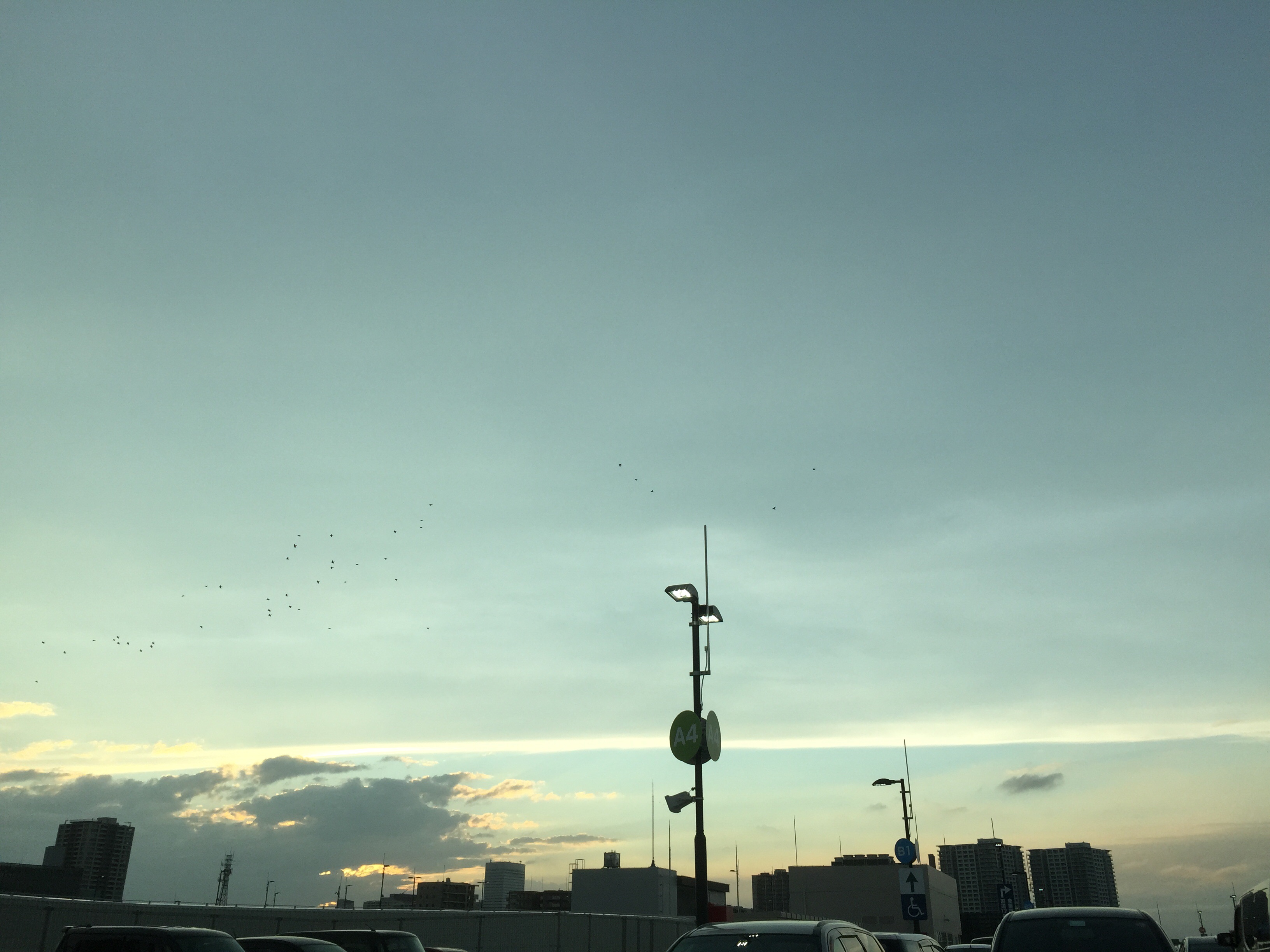 No.25214-1 地震雲