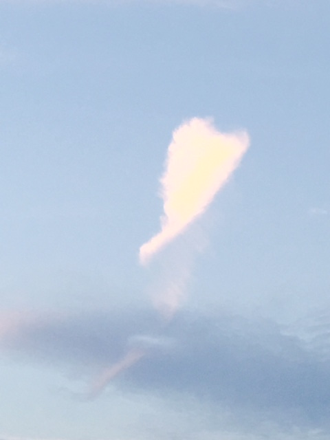 No.25384-1 地震雲