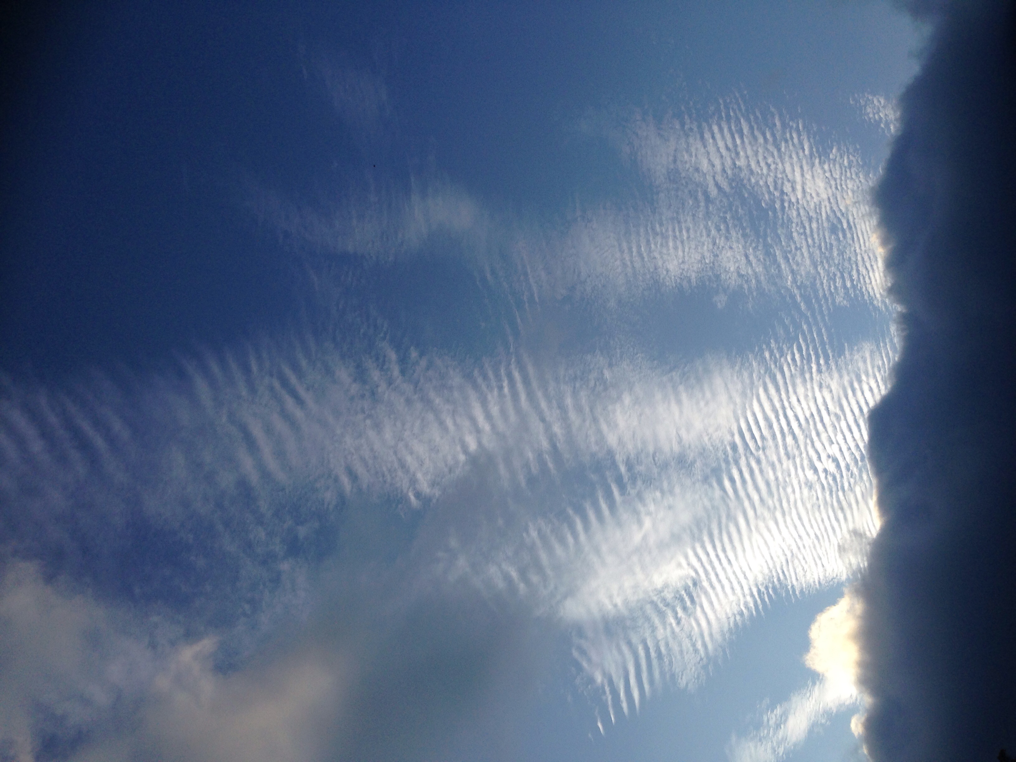 No.25386-1 地震雲