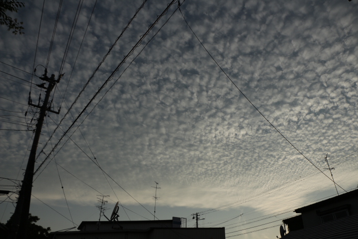 No.25393-1 地震雲