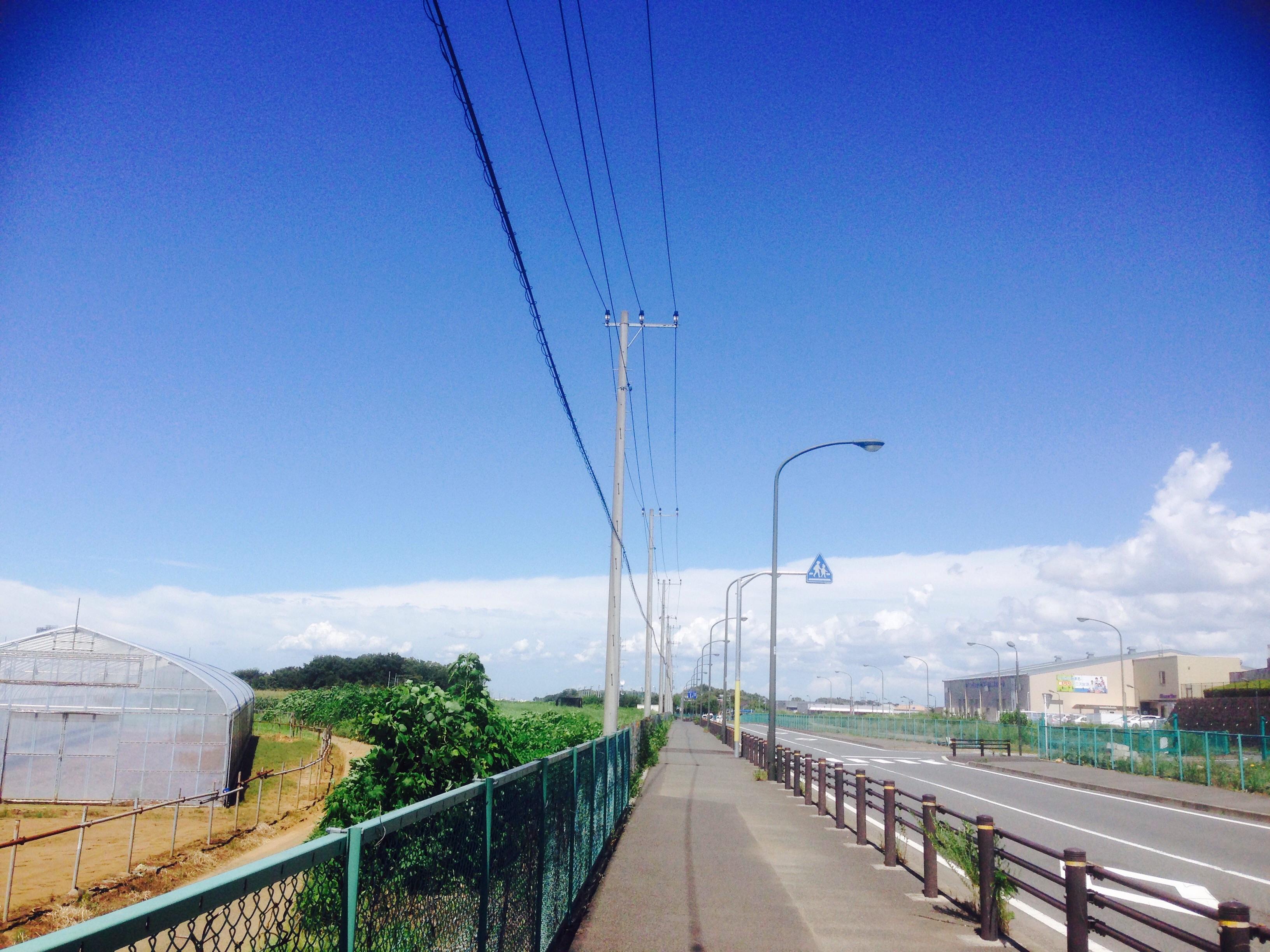 No.25440-1 地震雲